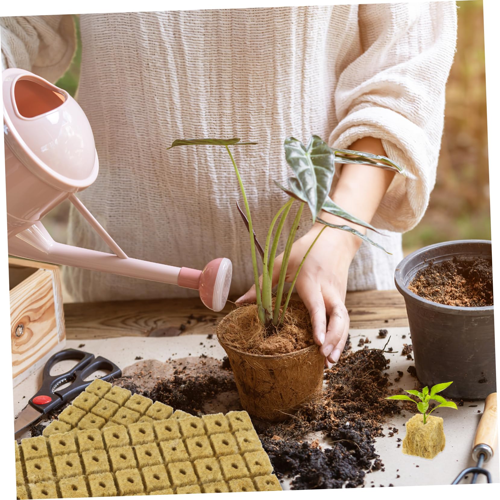 Toddmomy 3 Ensembles Cubes De Culture Hydroponique Pour Bouturage Et Propagation De Plantes Matériau Premium Avec Excellente Rétention Eau Et Perméabilité À Air Pour Culture 100 Pièces * 3