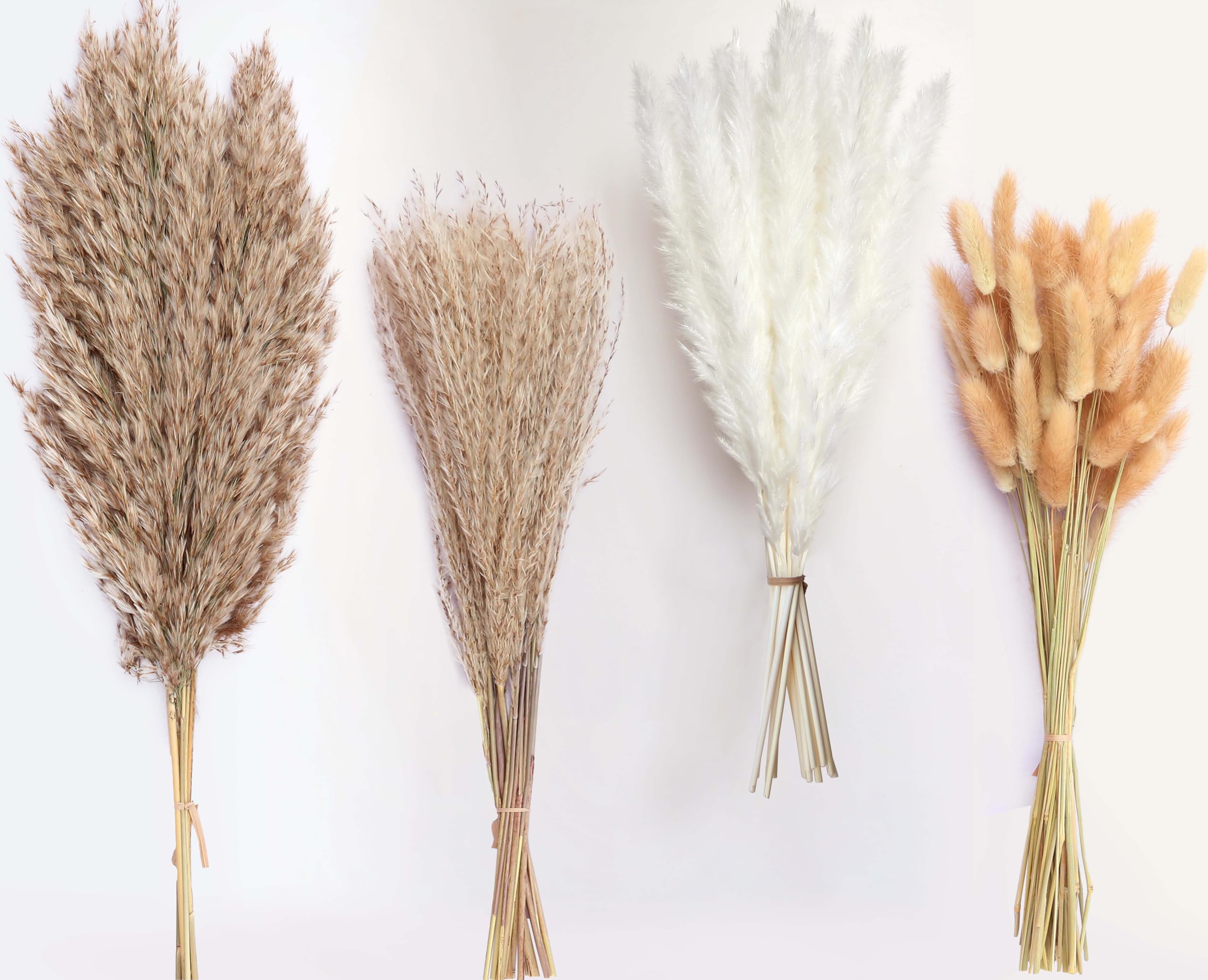 100 Stems Dried Pampas Grass, Boho Table Decor Natural Reed Phragmites Grass, Fluffy Large Pampas Grass, Bunny Tails Flowers Bouquet for Wedding