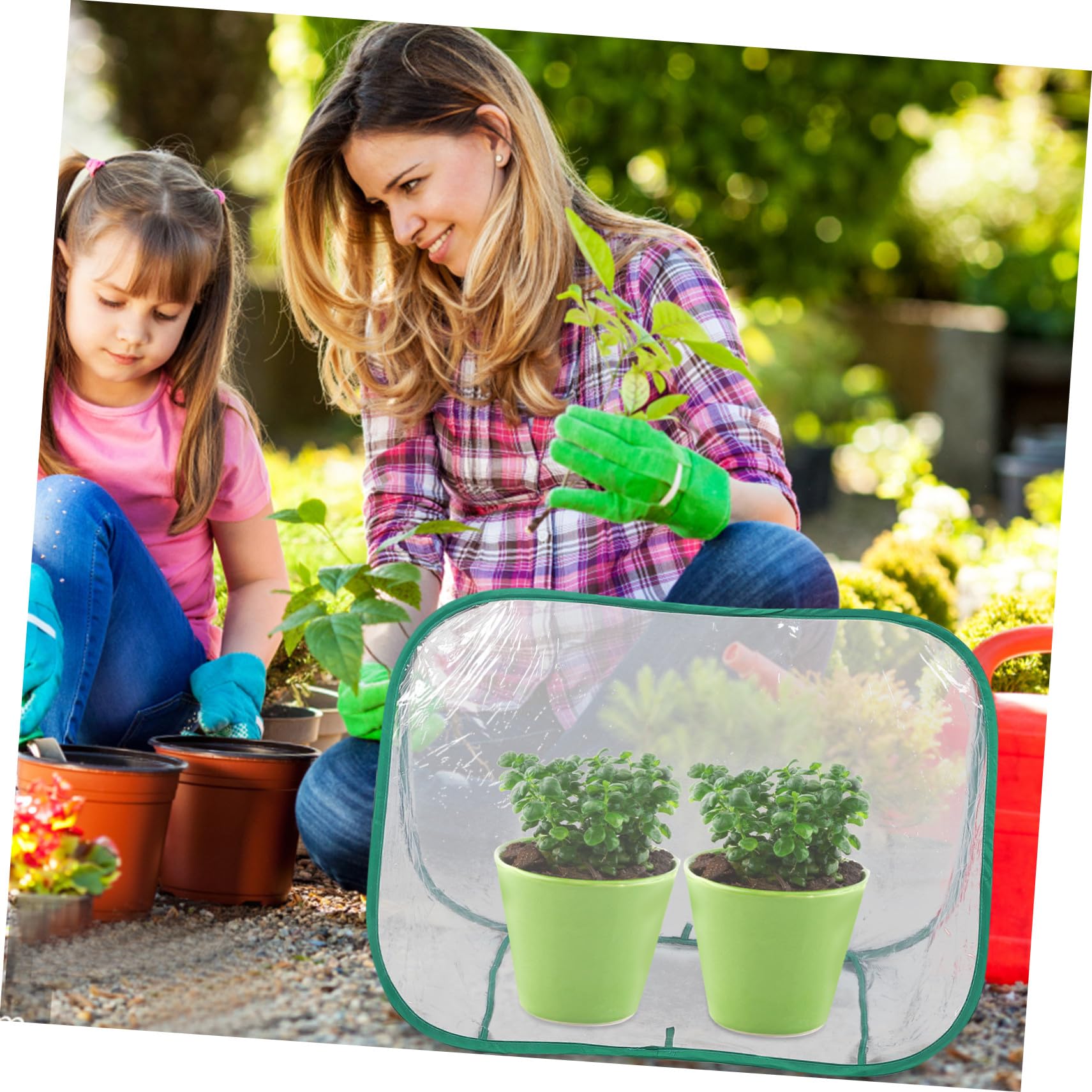 Mini Gewächshaus Tragbares Pflanzenwachstumszelt Faltbares Gartengerät Kleines Botanisches Gewächshaus Transparentes Pflanzengehäuse Kompaktes Blumenhaus Mini-gartenschutz Pflanzen