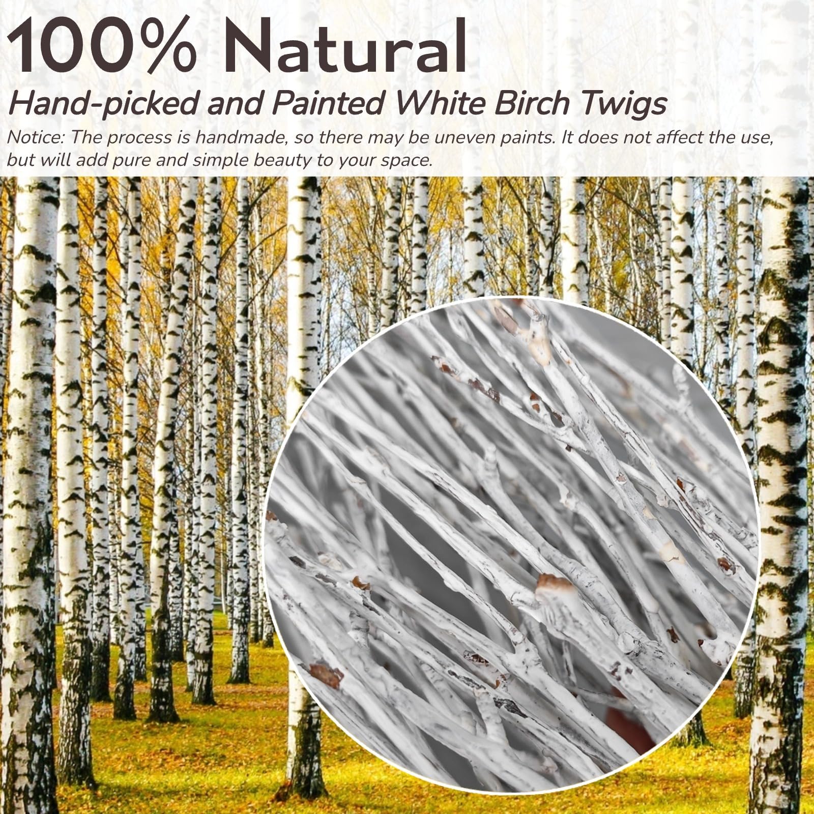 Amazon | 50個 本物の乾燥した白い枝 白樺の小枝 - 17インチ 天然白樺