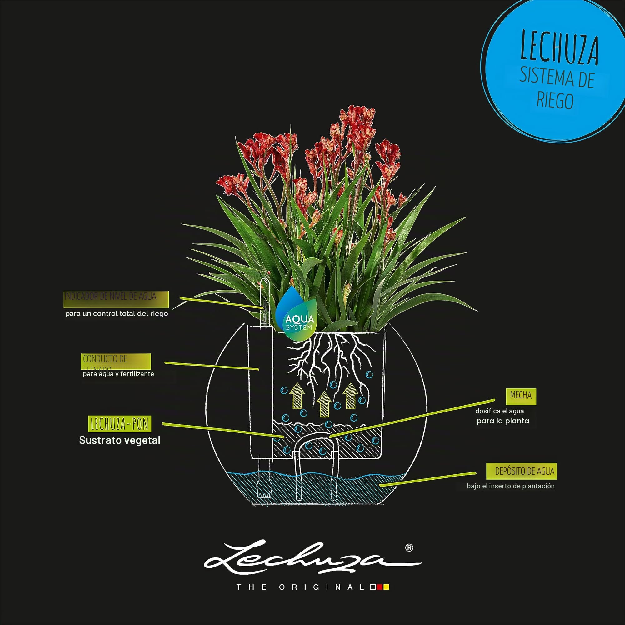 LECHUZA Puro Color 20 y marrón 1378