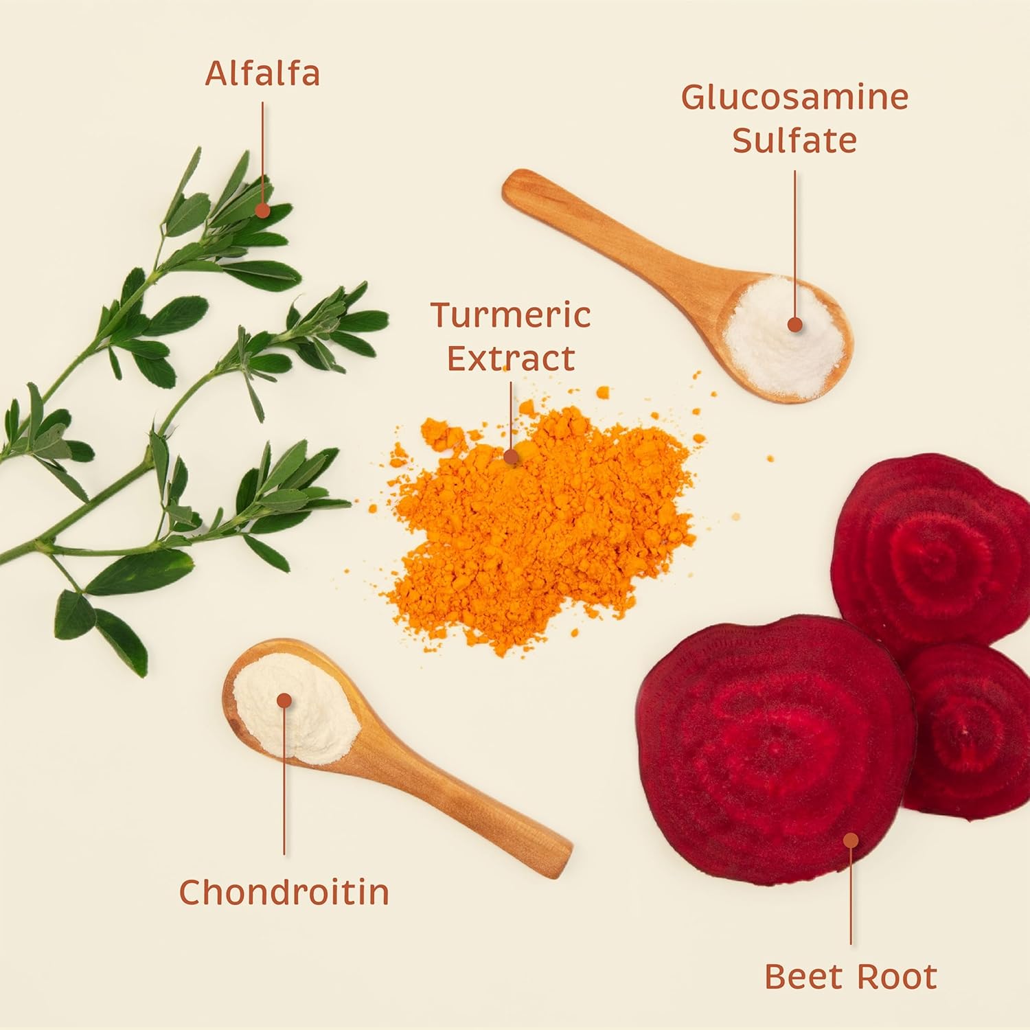 Spirited Paw Joint + Mobility - Joint Support & Comfortable Mobility for Dogs - Beet Root, Turmeric Extract & Ginger - Includes Antioxidants and Vitamins C & E - 100 Chewable Wafers