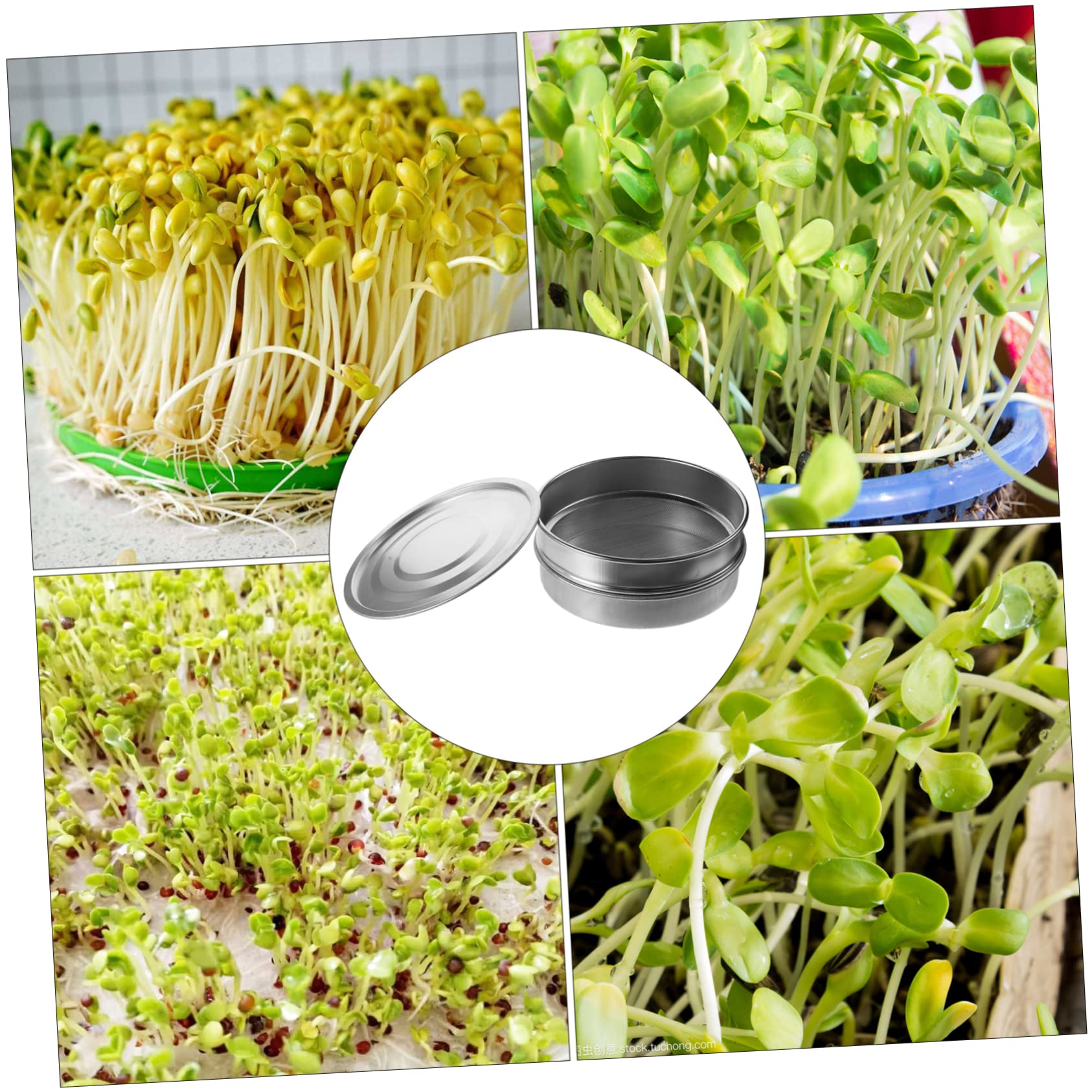 Abaodam 1 Set Vassoi Germoglianti Inossidabile da Kit per Germinazione Piante con Base Zincata Facile da Usare per Coltivazione e Balcone
