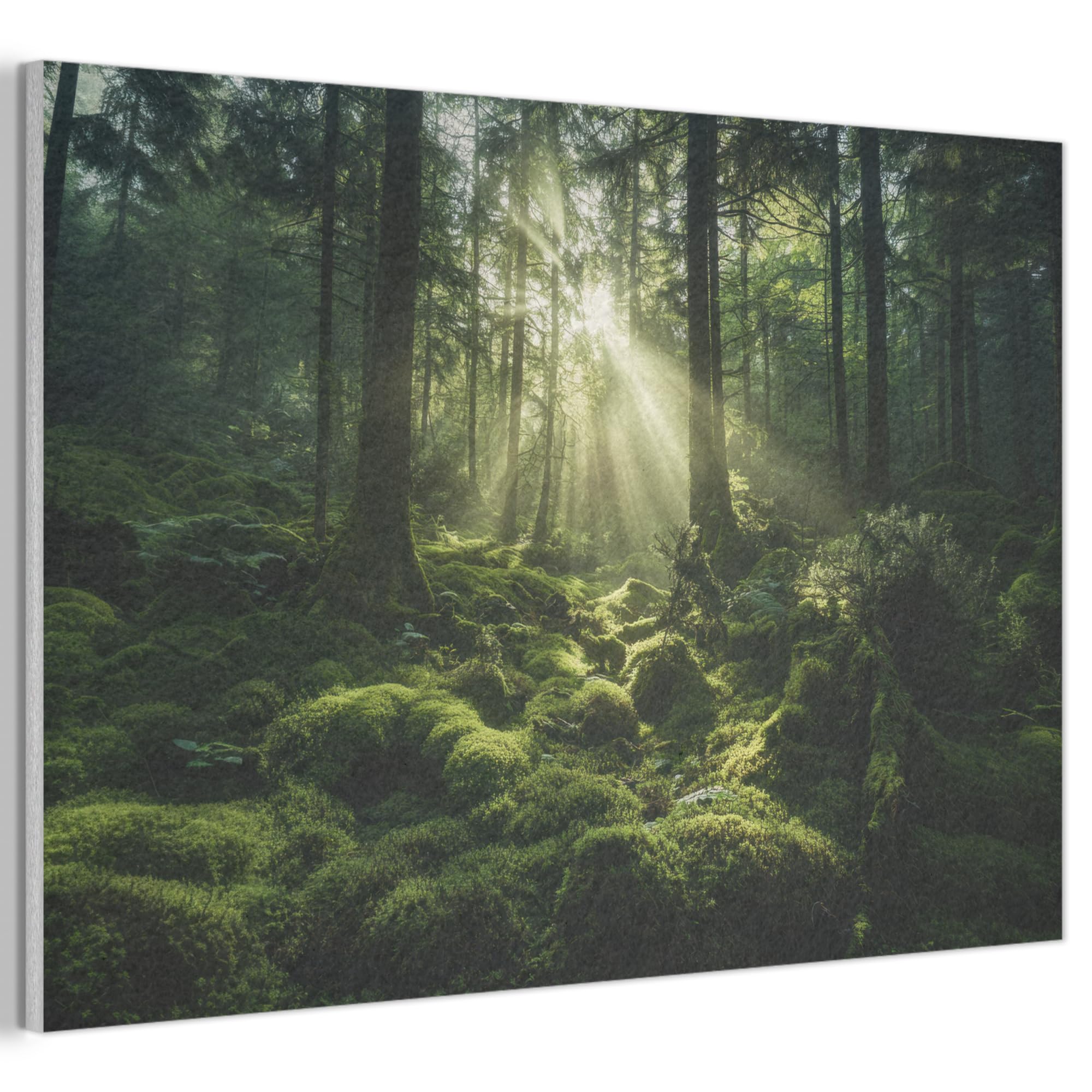 MuchoWow© Felt Panel 90x60 cm Framed Print Painting for Entryway Interior Accent Decoration Wall Art Sunbeams - Forest - Moss - Green
