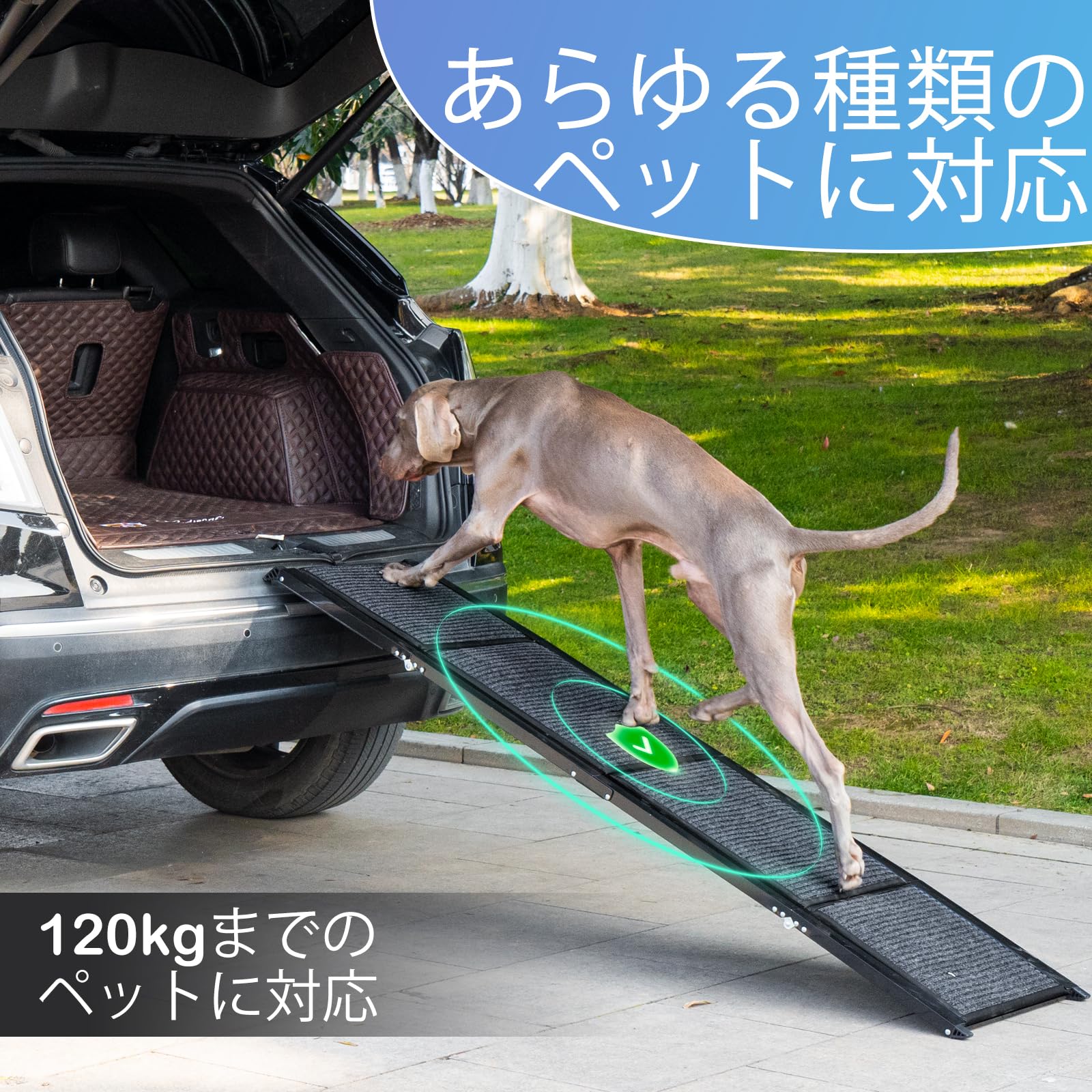 Amazon.co.jp: Uross 3つ折り ペット スロープ [ 全長 180cm