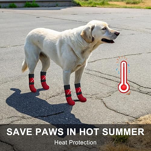 Miniatura 89 de BEAUTYZOO 6 calcetines para perros para evitar lamer las patas, zapatos antideslizantes para suelos de madera dura en pavimentos calientes, botas