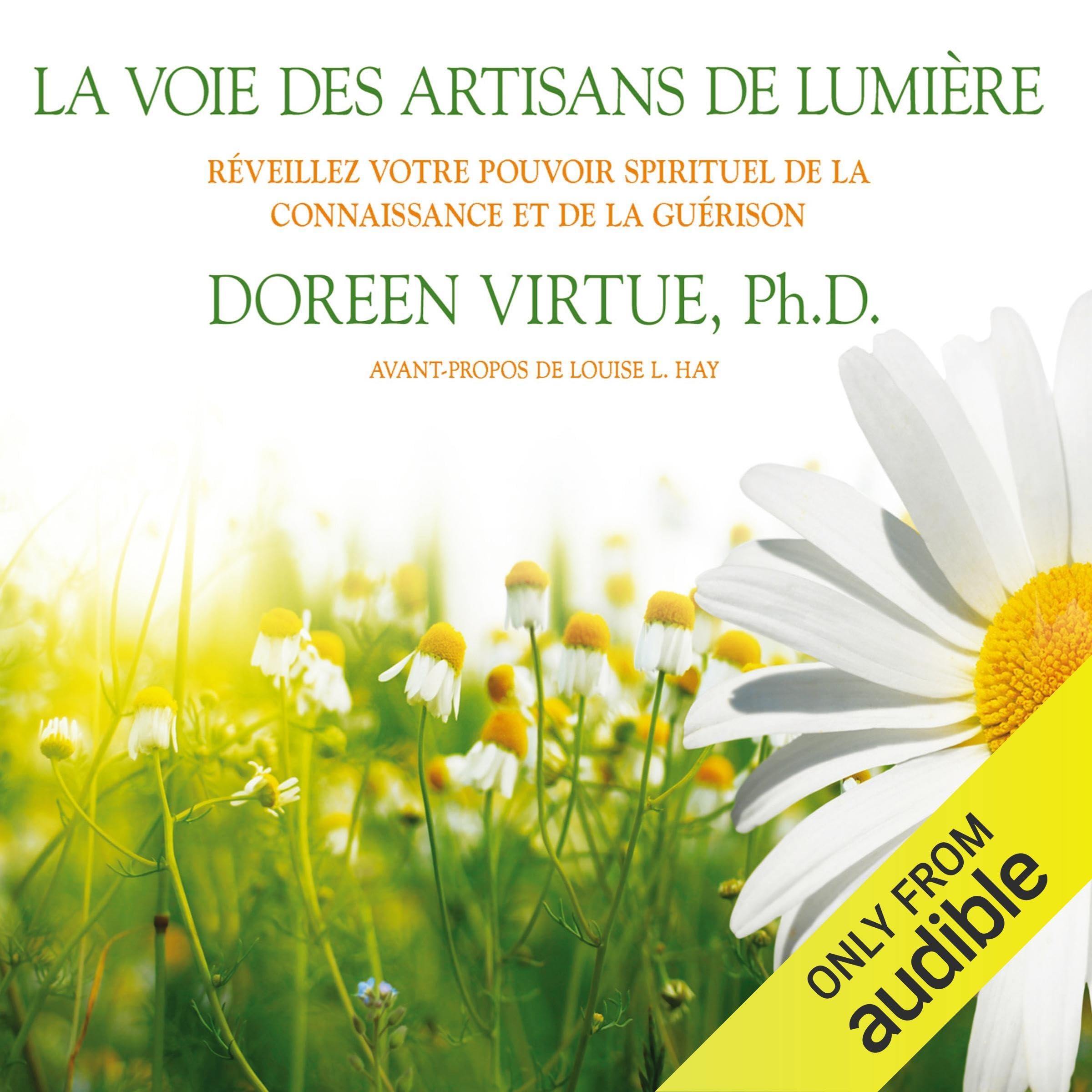 La voie des artisans de lumiere [Audio CD] Virtue, Doreen