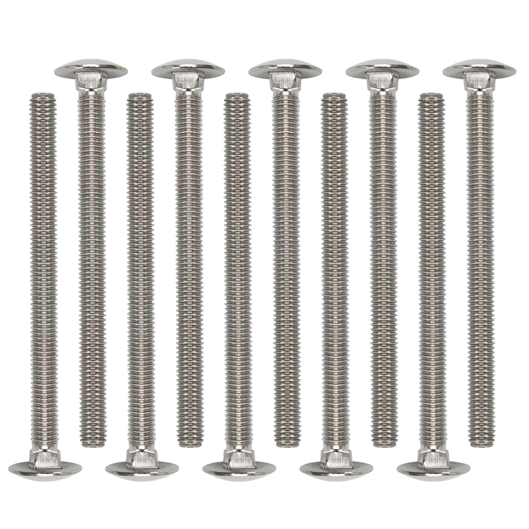 M6 Stainless Steel Carriage Bolts - 10 Pack -1