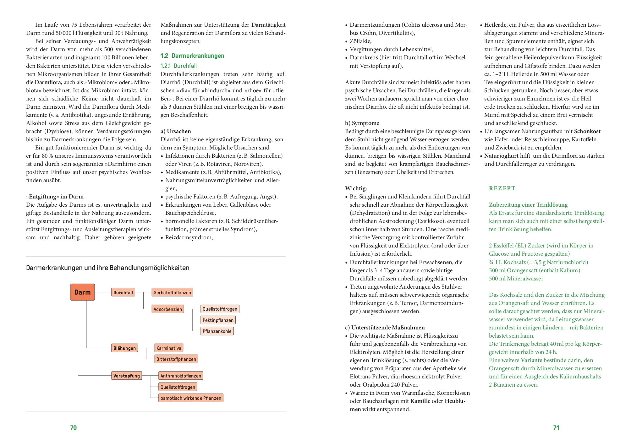Phytotherapie in Theorie und Praxis: Das große Buch zur Pflanzenheilkunde – das neue Lehr- und Nachschlagewerk: Heilen mit Johanniskraut, Schafgarbe und Spitzwegerich