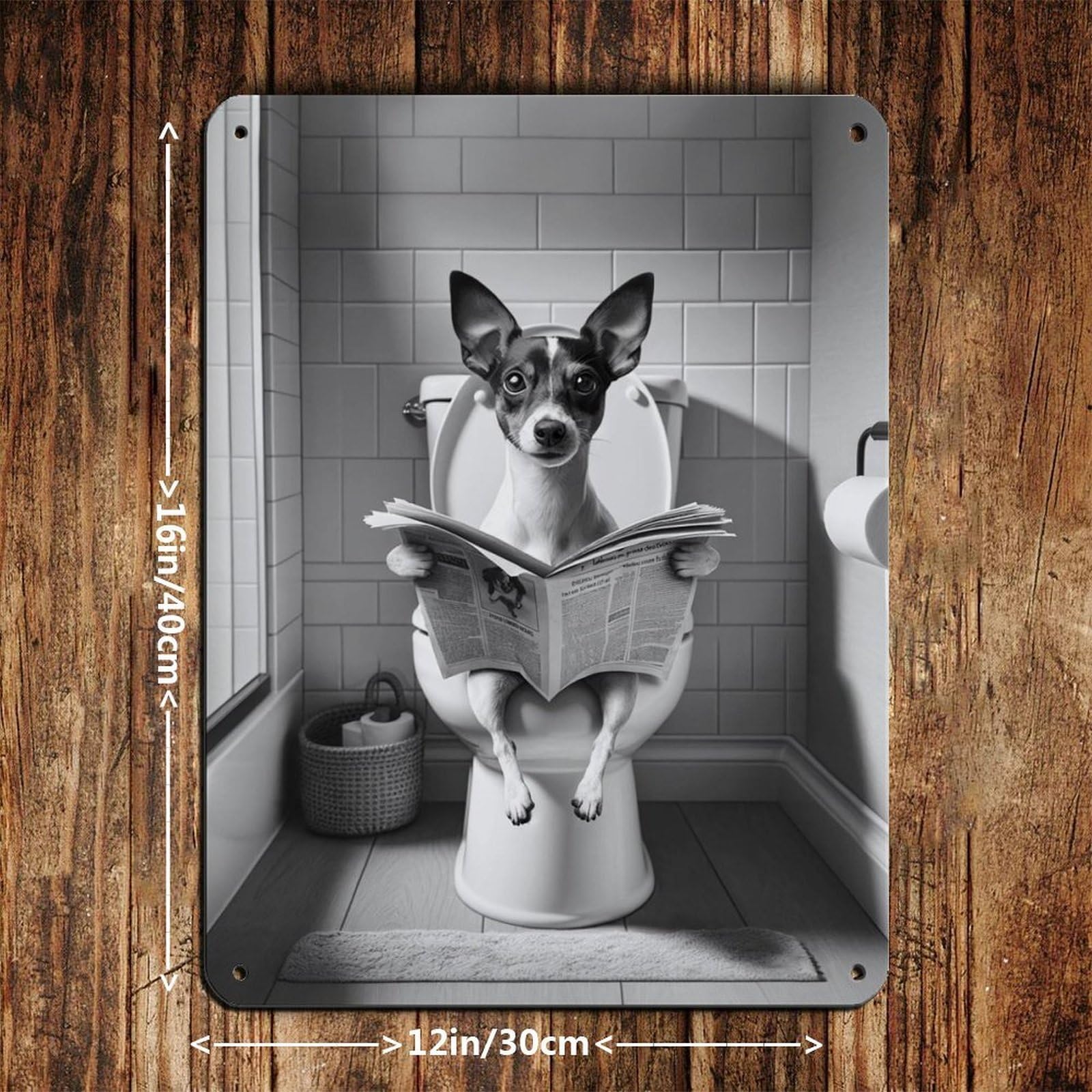 Rat Terrier, Funny Bathroom Decor Tin Sign Vintage Metal Pub Club Cafe Bar Home Wall Art Decoration Poster Retro 12x16inch(30x40cm)