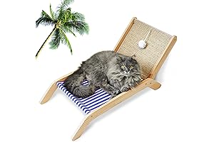 PETKARAY Dog Beach Chair : Elevate Your Dog's Beach Experience