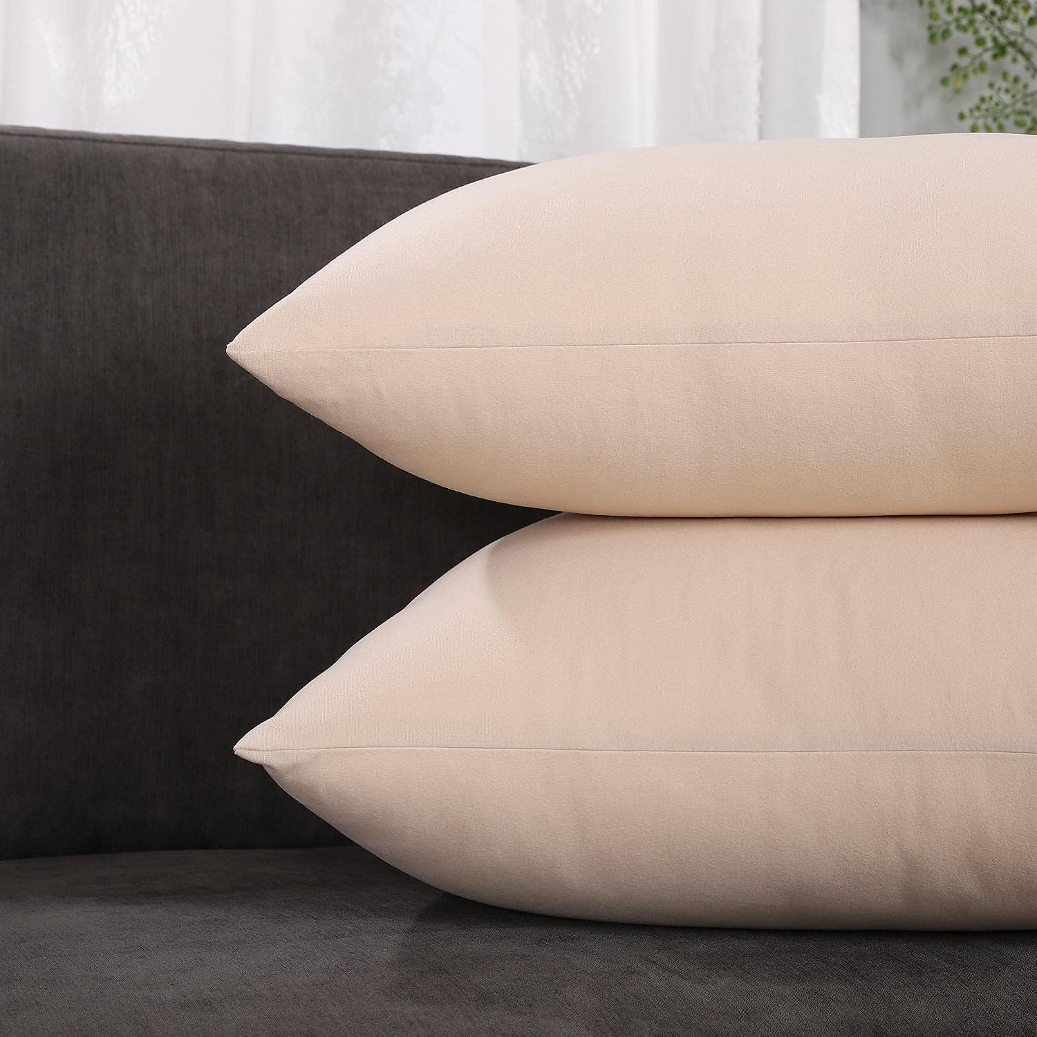 EECCA Matte Soft Velvet Throw Pillow Cover Rectangle Pillow Cases Decorative Pillow for Bedroom Living Room Cushion Cases Bed Sofa,Cream White,12x20 Inches