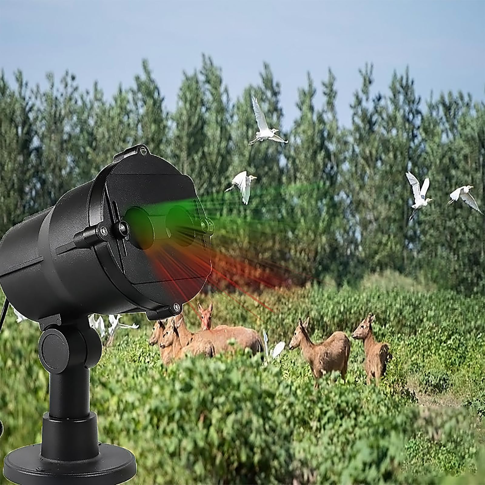 Ahuyentador de Pájaros Láser Exterior con Temporizador y Control Remoto, Dispositivo Automático para Palomas, Gorriones, Estorninos, Jardín y Granja
