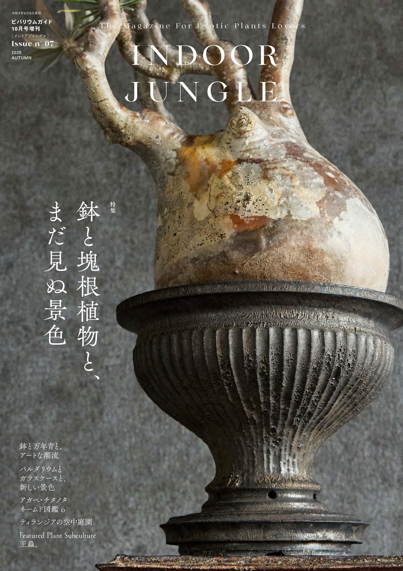 81JIF1Q6sGL.jpg 81JIF1Q6sGL.jpg