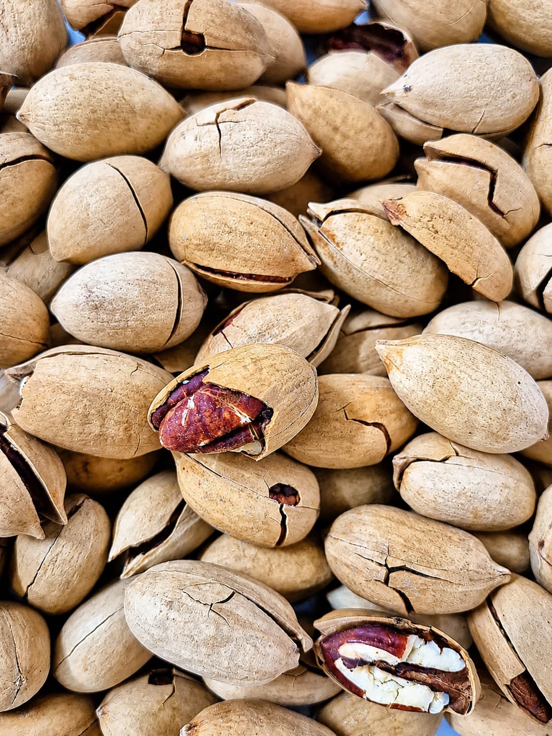 Noci Pecan In Guscio Aromatizzate 1Kg Varianti Al Caffè O Alla Vaniglia Snack Gourmet Tostato Frutta Secca Premium Croccante Ideale Per Aperitivi Relax (Noci Pecan In Guscio Alla Vaniglia 1Kg)