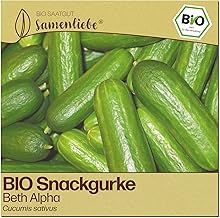 Beth Alpha Organic Cucumber Seeds Salad Cucumber (Cucumis Sativus) Vegetable Cucumber Seeds