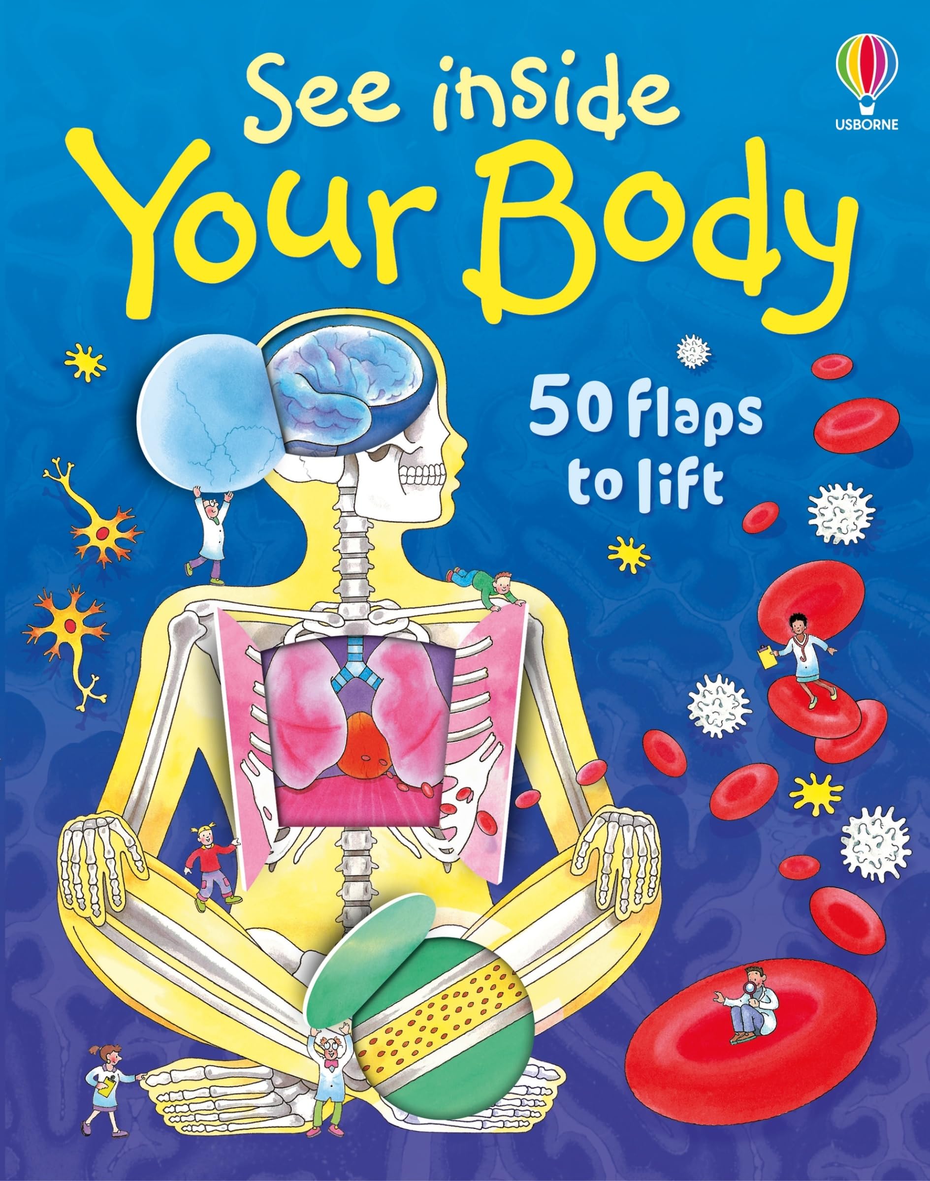 See Inside Your Body Board book – Lift the flap, 5 March 2024