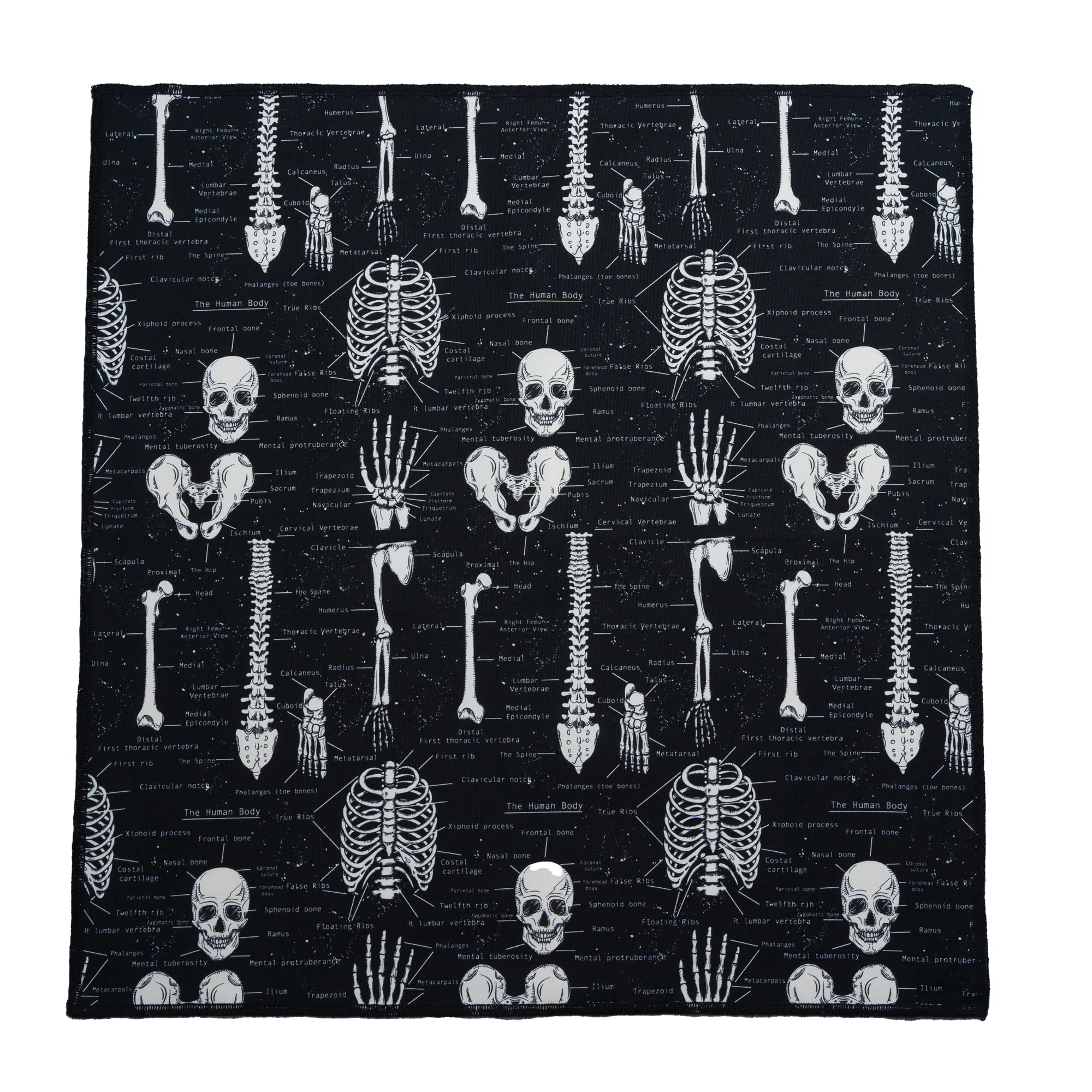 Skeleton glow in the dark anatomy Bandana