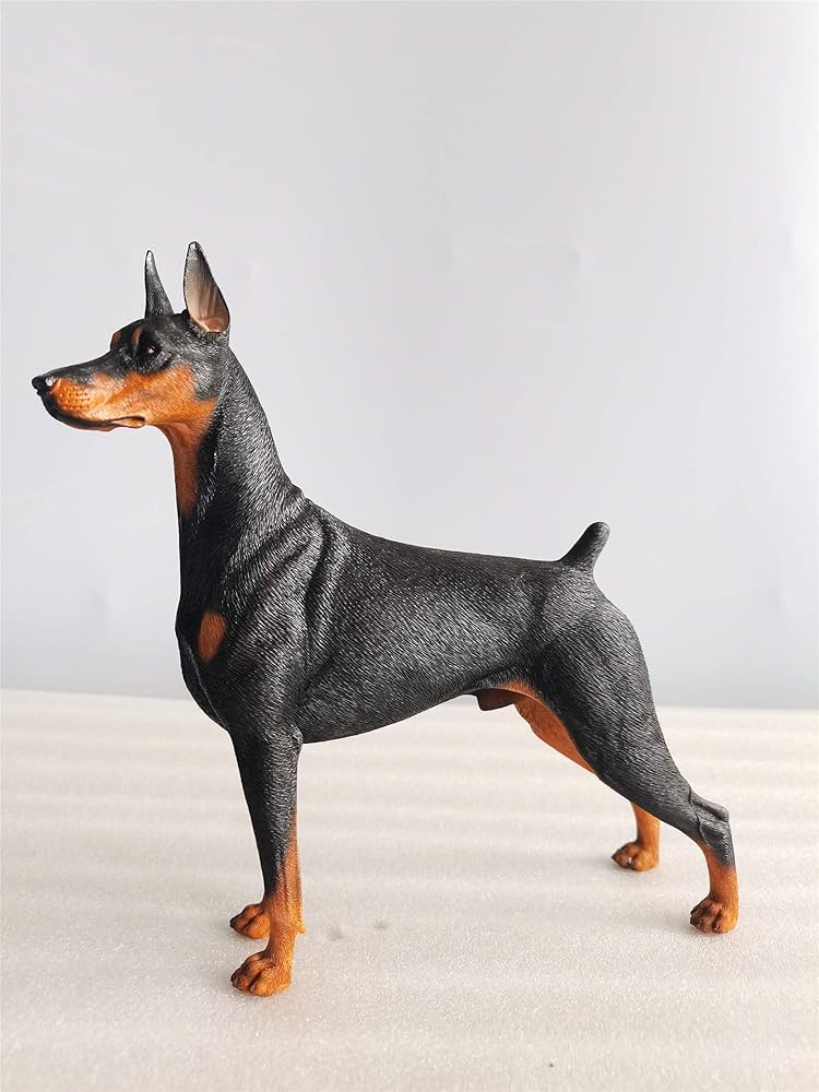Amazon | M7 ドーベルマン ドーベルマン・ピンシャー 犬 動物