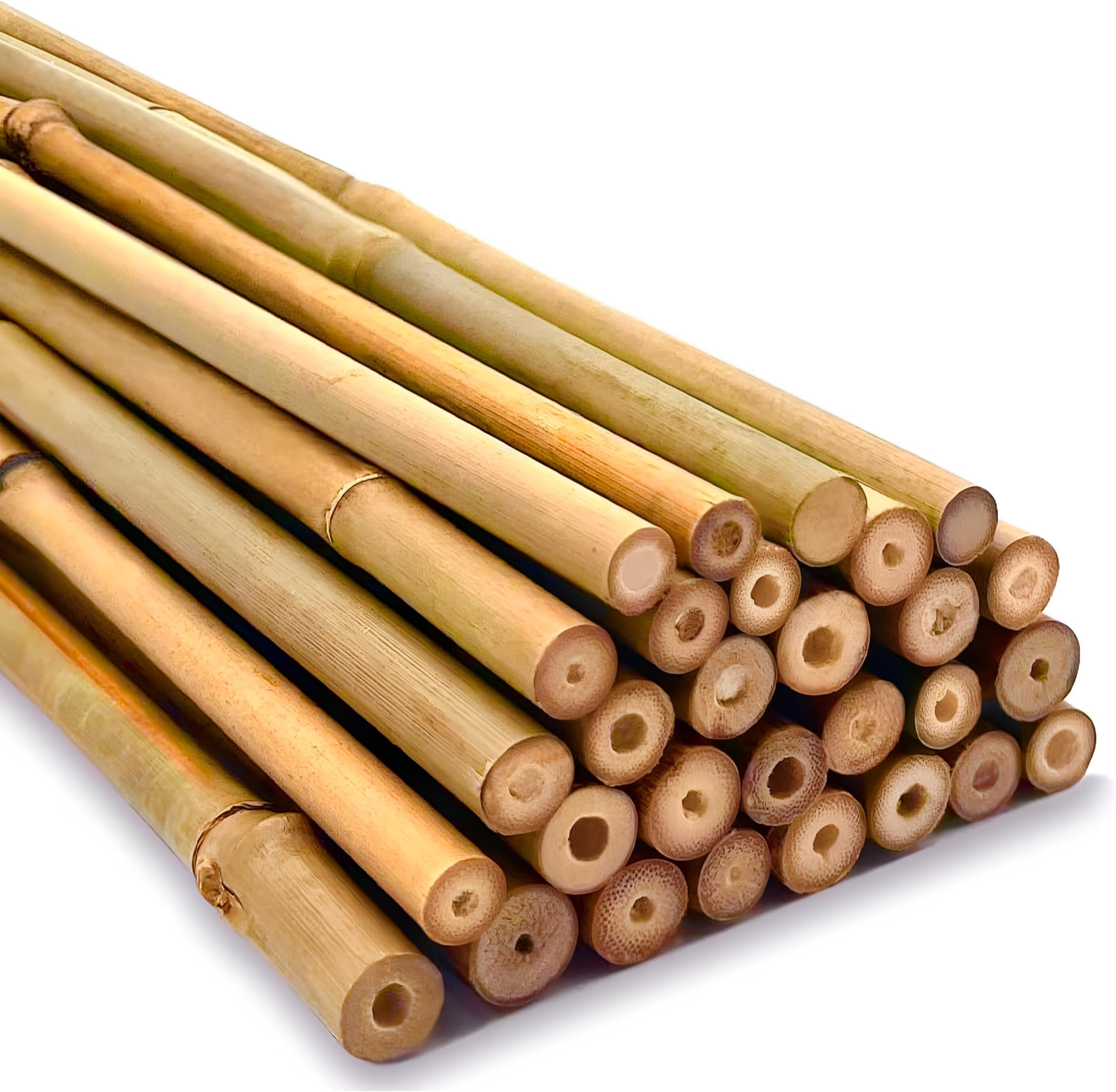 Strong Heavy Duty Professional Bamboo Canes for Plant Support - Multiple Lengths 2ft - 8ft Garden Stakes, Durable Large Garden Canes Sturdy & Natural Bamboo Sticks for Plants Size (2ft, 10, 10-12mm)