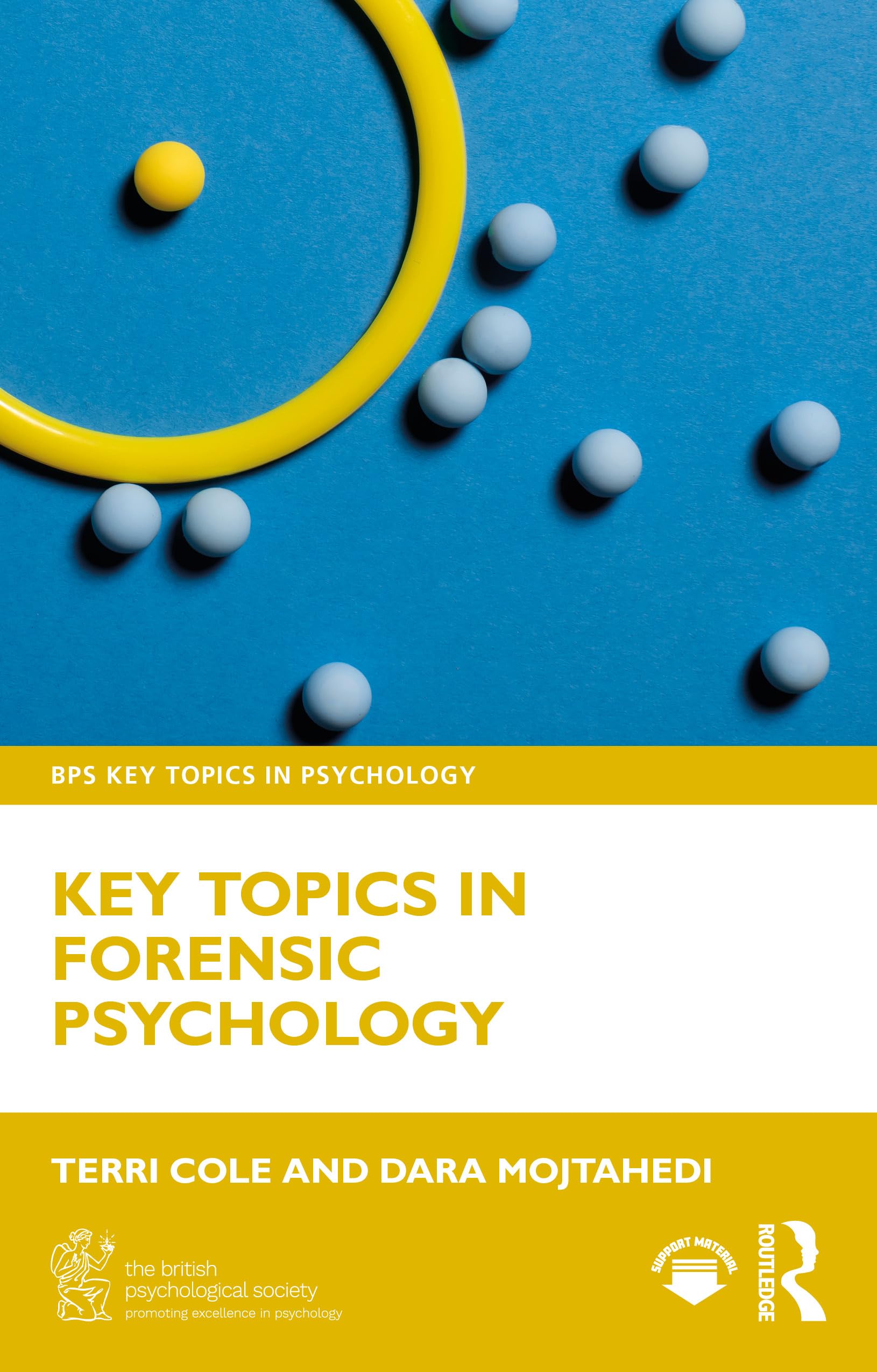 Key Topics in Forensic Psychology (BPS Key Topics in Psychology)