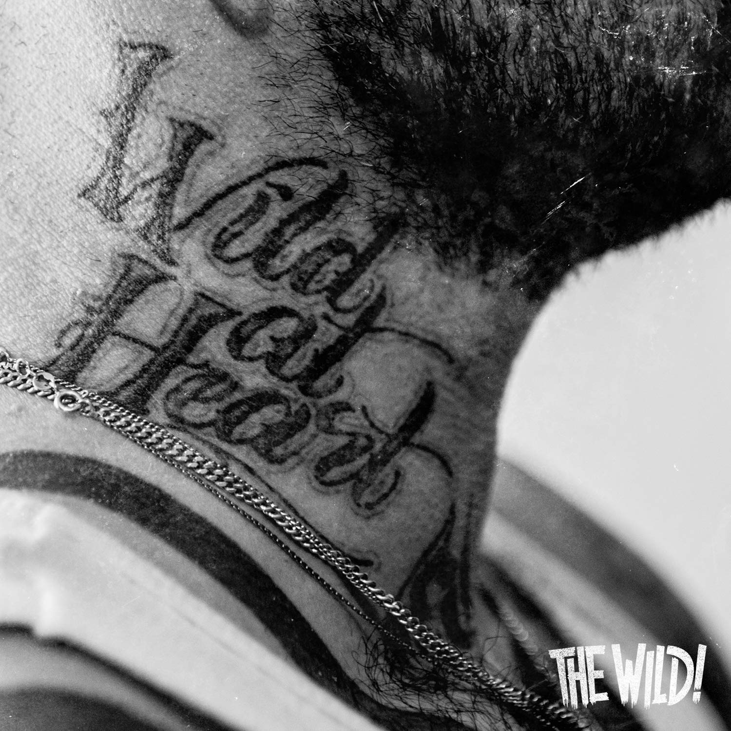 Photo 1 of Wild At Heart