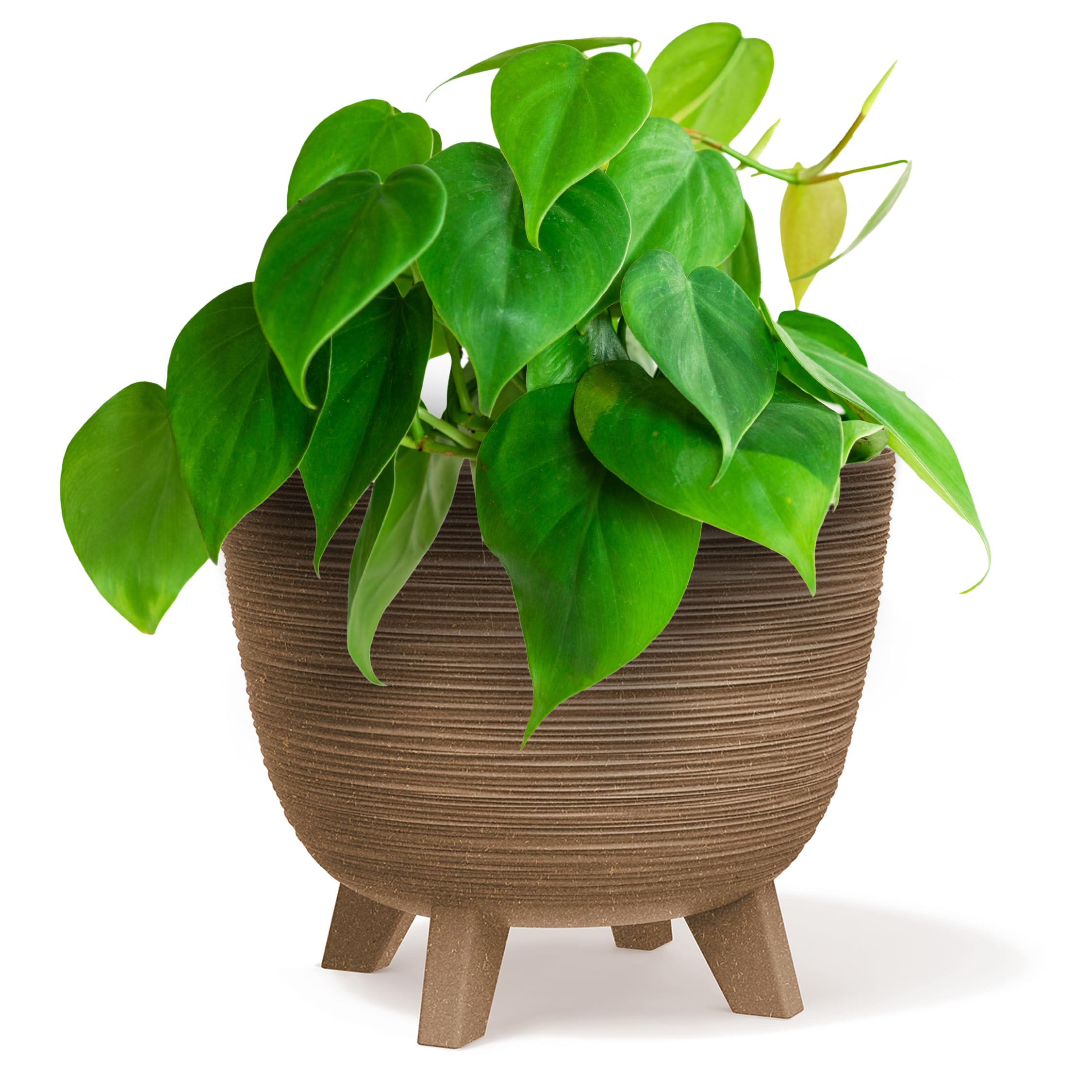 B2C Bowl Planter Plant Pot with Legs Oval Flower Modern Decorative FURU Indoor 4 Colours Modern Elegant Plqastic Matt Finish Textured Home Office Balcony Lightweight (Wood, 23.6cm)