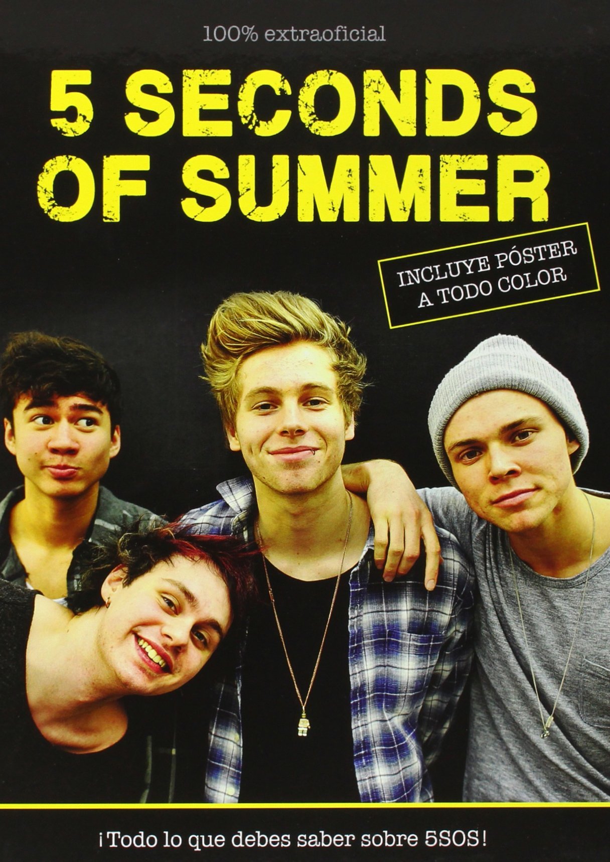 5 Seconds of Summer album vinyle pop punk musique culte