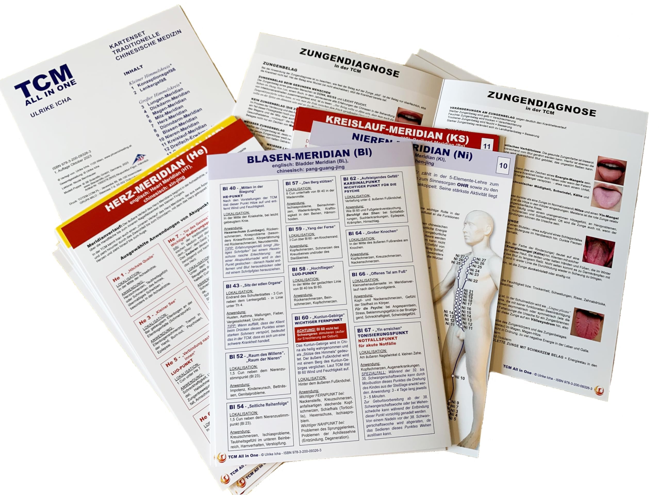 TCM - All In One: Kartenset - Traditionelle Chinesische Medizin