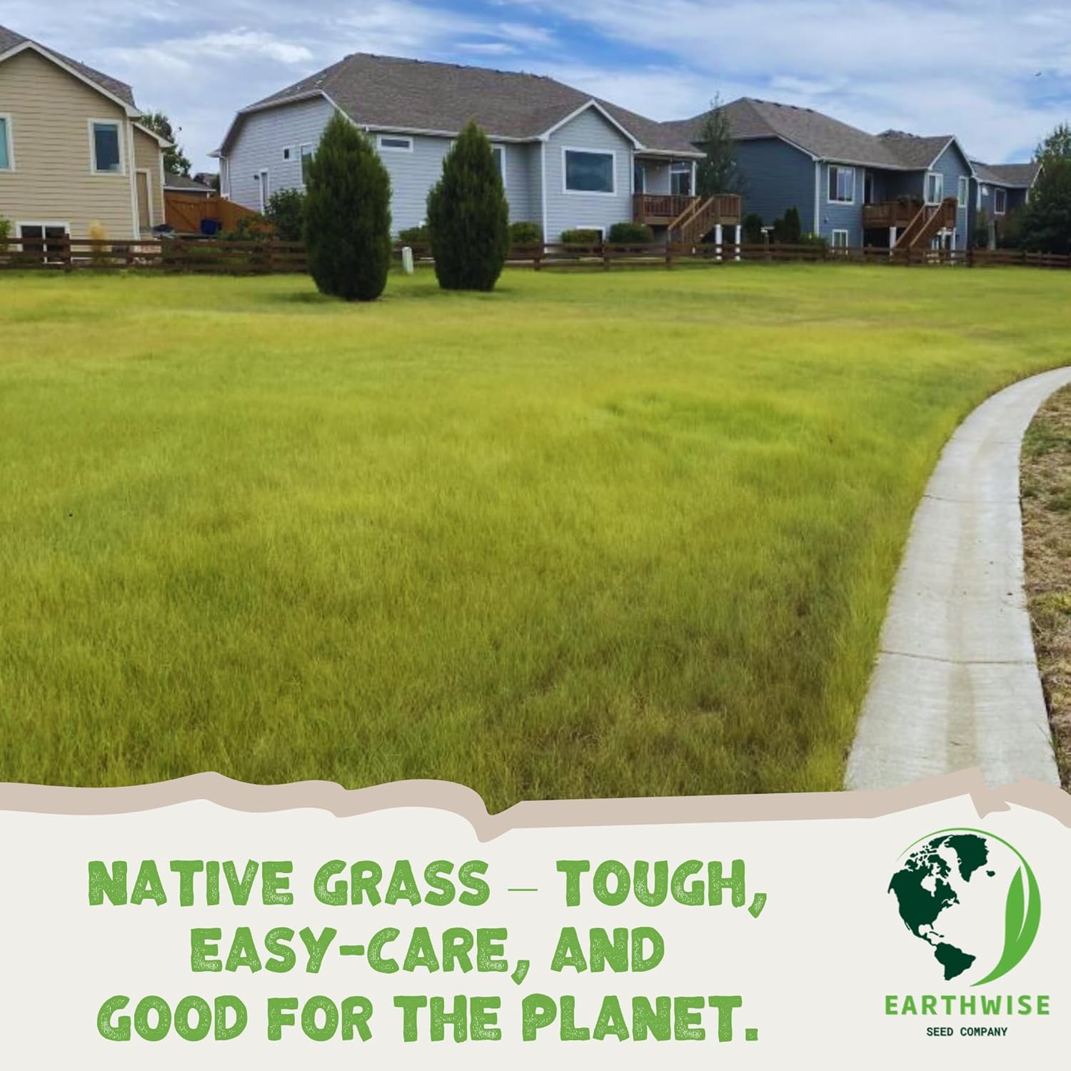 Earthwise TrueGrass Native Grass Seed Mix – Texoka Buffalograss, Blue Grama Grass, No Maintenance Lawn, Drought Tolerant, Organic, Pollinator Friendly, Pet Safe – Covers Up to 500 sq ft, 1 lb