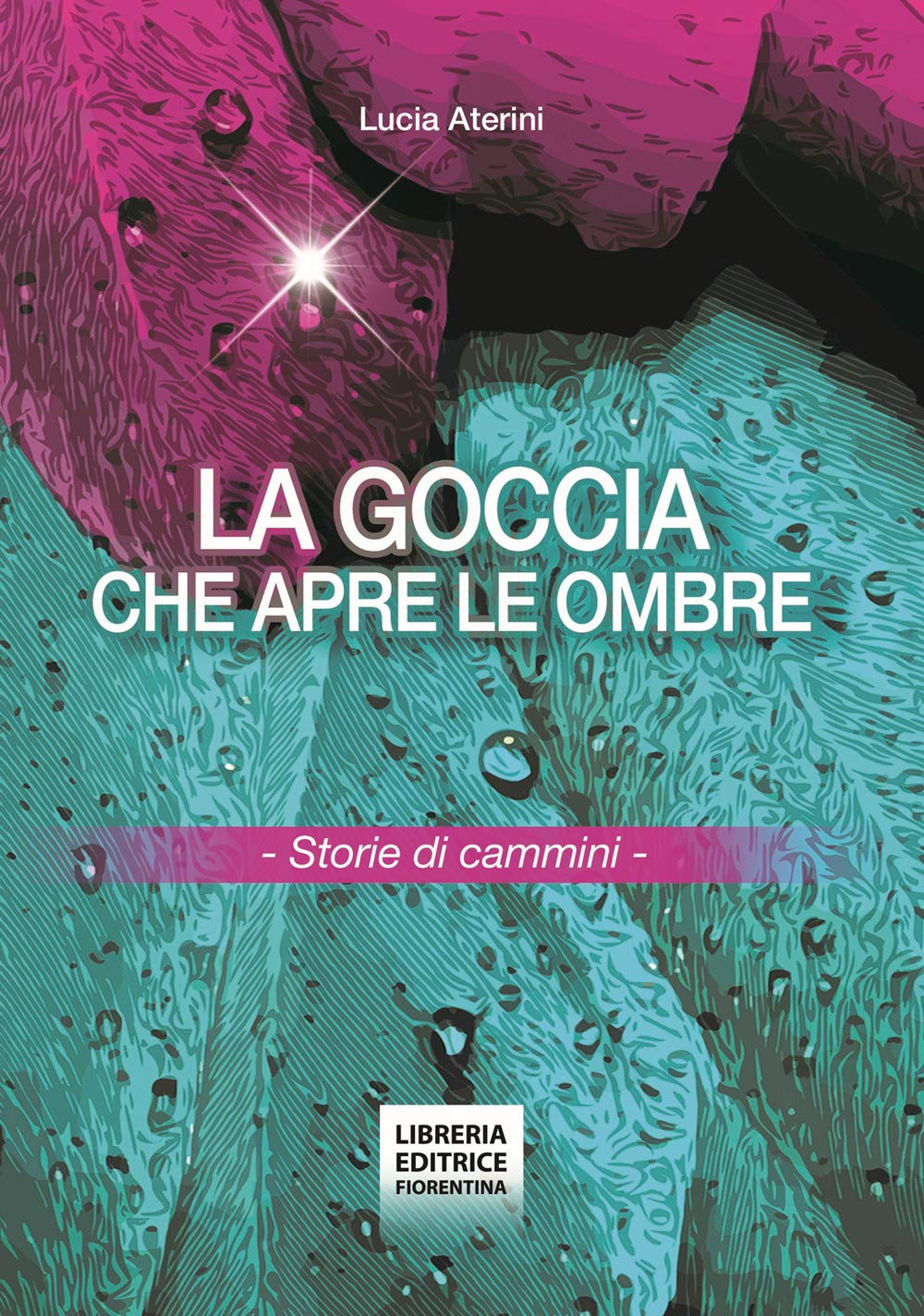 La Goccia Che Apre Le Ombre. Storie Di Cammini - 4