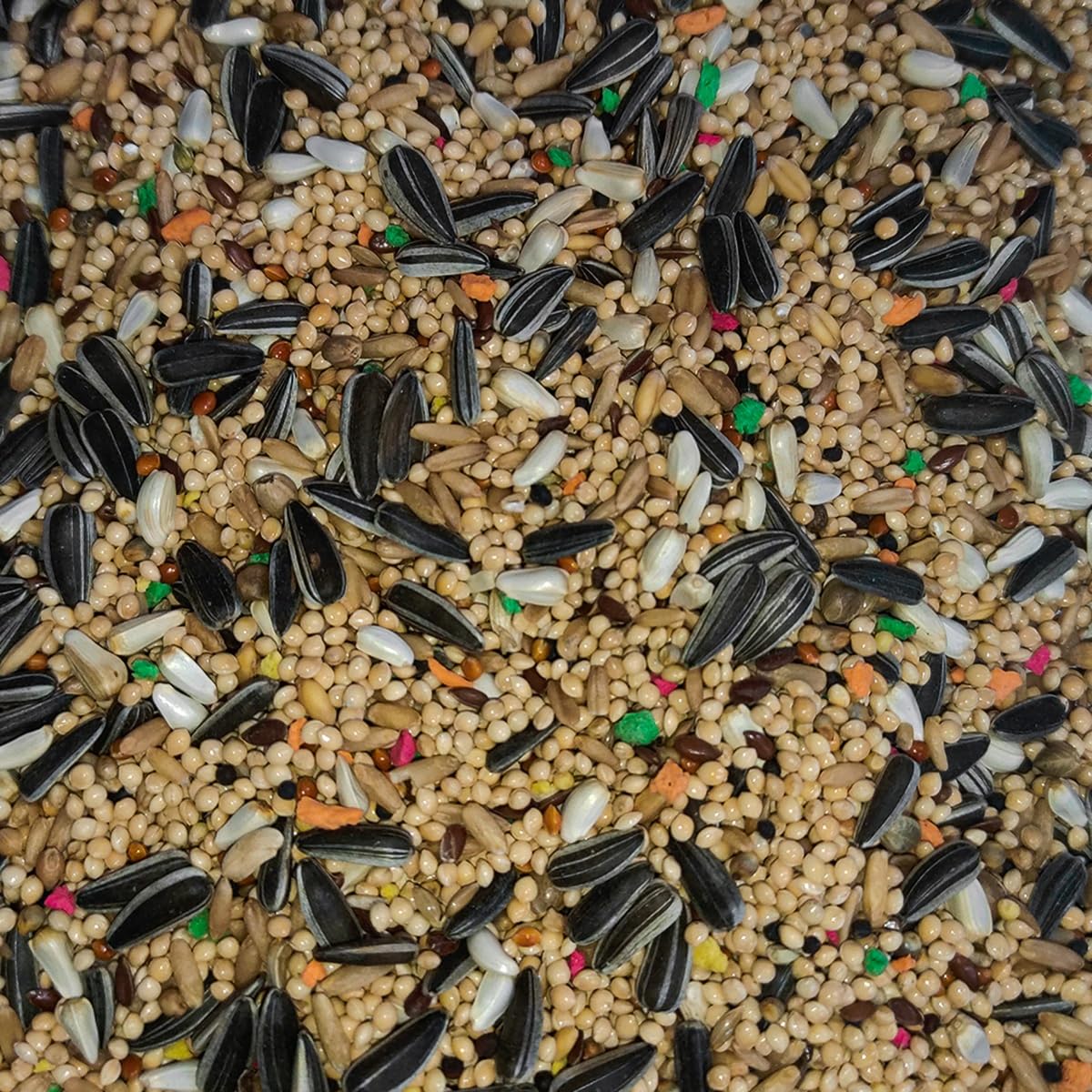 Mezcla de Semillas de 20 kg para ninfas y agapornis Alimento Natural al 100% - Enriquecido con vitaminas - Nutrición Completa y equilibrada - Producido en España