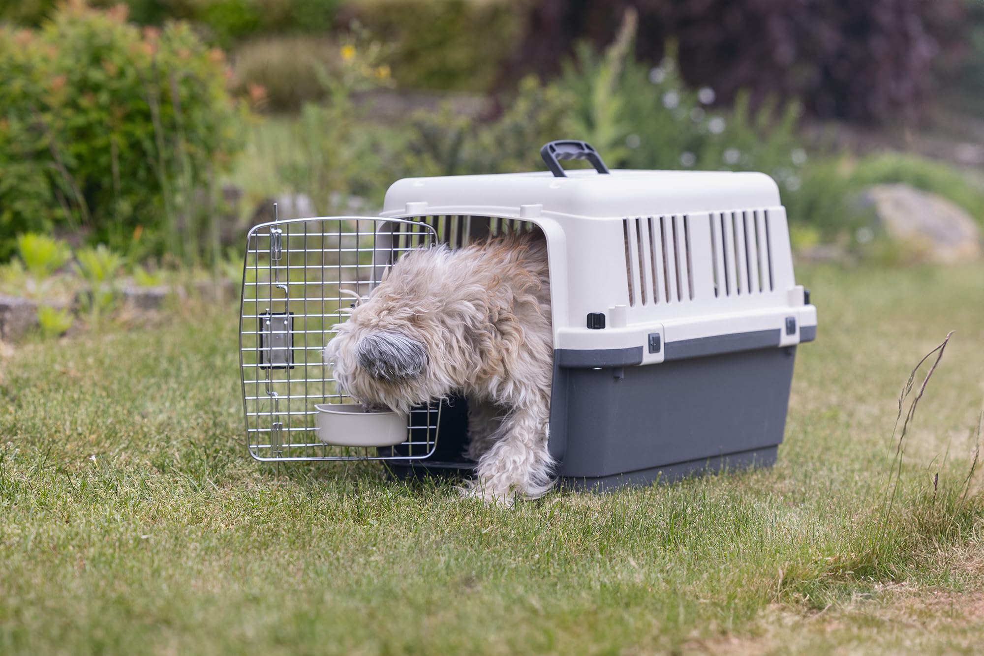 Karlie 513771 Nomad - Caja de avión para Perro y Gato, 62 x 40 x 41 cm (S)