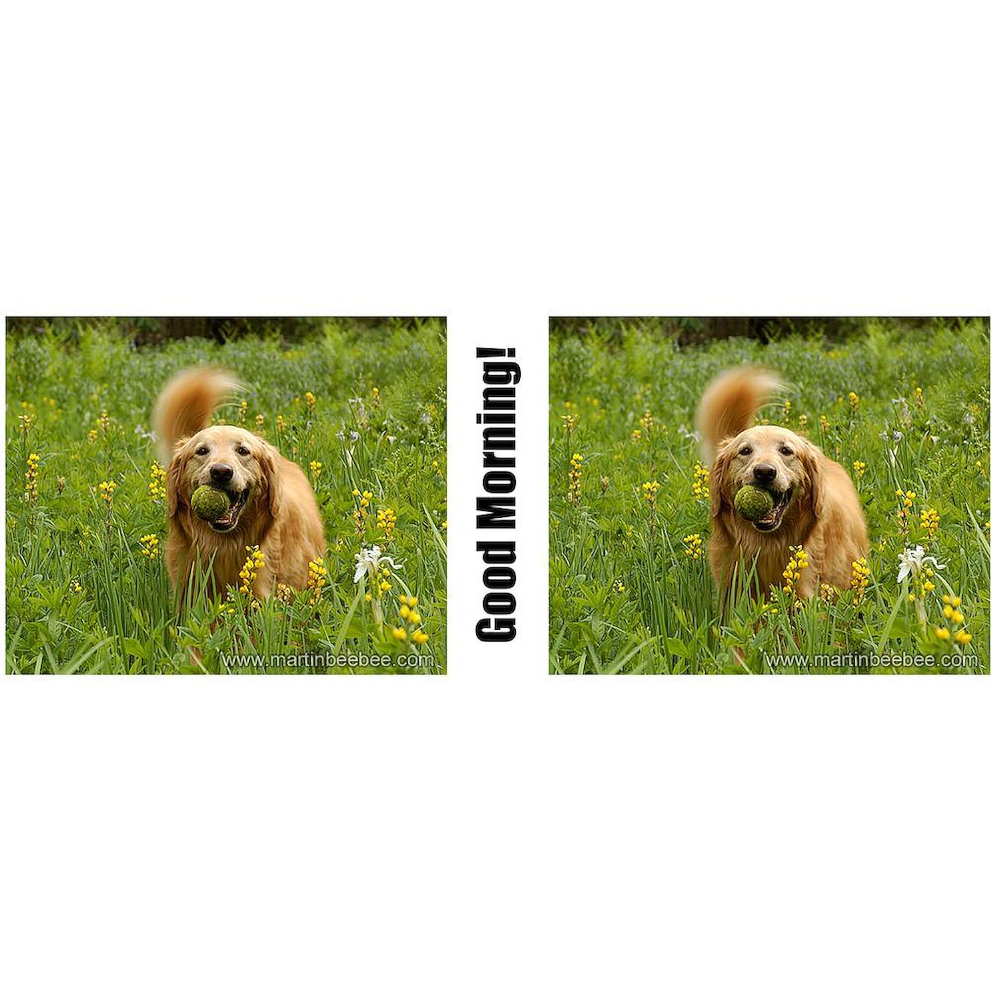 CafePress Golden Retriever Coffee Mug - 'Need Morning Coffee' 11 Oz Ceramic Mug, Dishwasher Safe - View #10