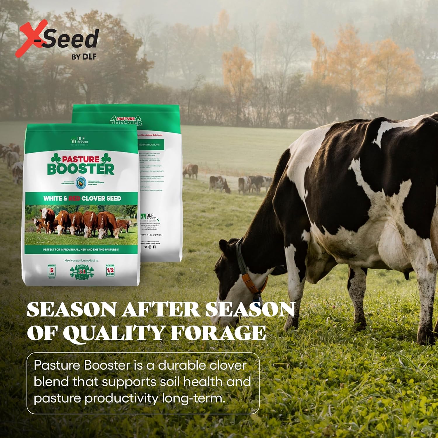 DLF Pasture Booster Clover Seed Mixture - Premium Clover Seed for Pastures, Livestock, Horses, Providing Protein & Essential Nutrients Enhance Soil Health - (White & Red Clover) 5 lbs, 0.21 cubic feet