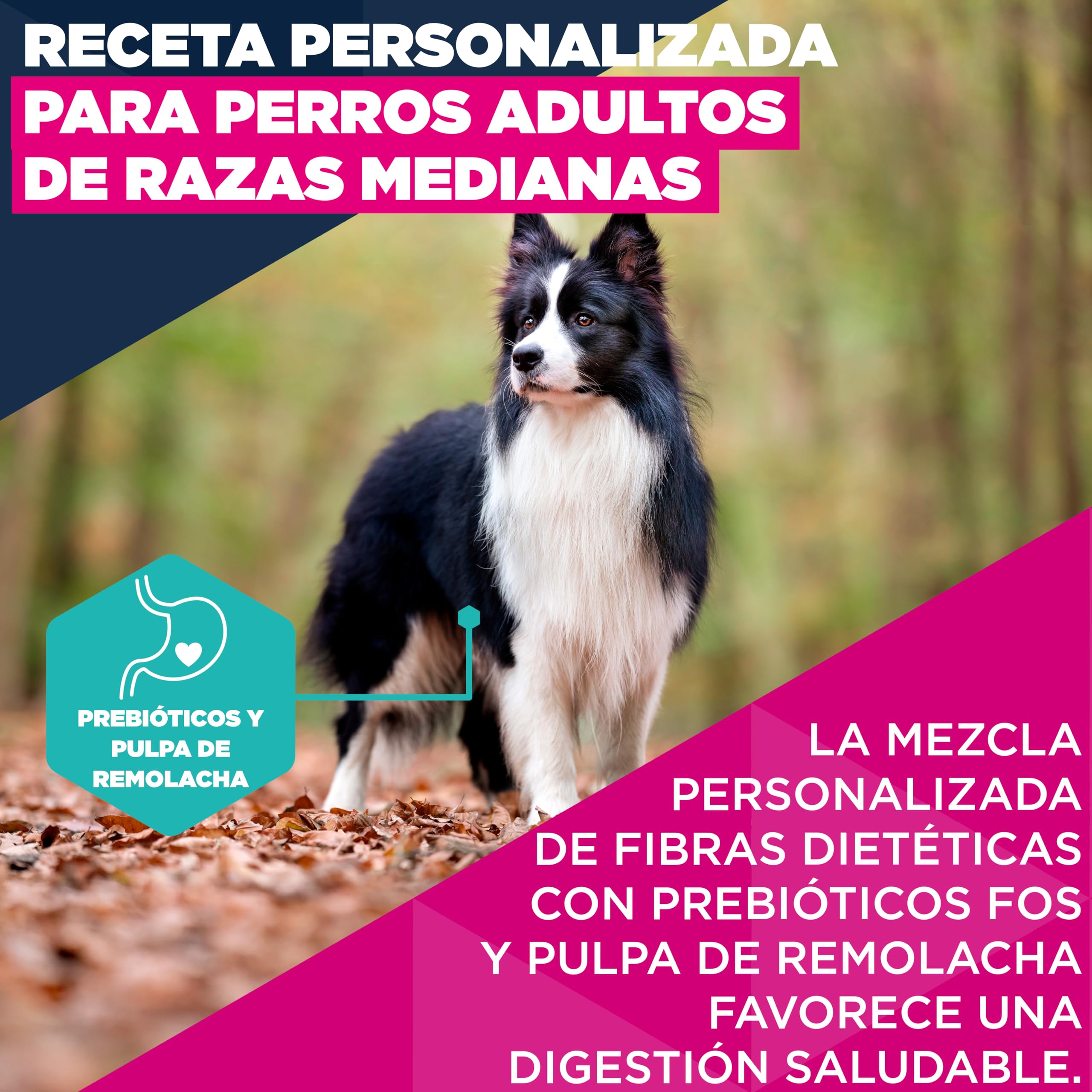 Eukanuba, alimento para Perros con Pollo Fresco para Razas Medianas - Alimento seco Premium para Perros Adultos, 15 kg