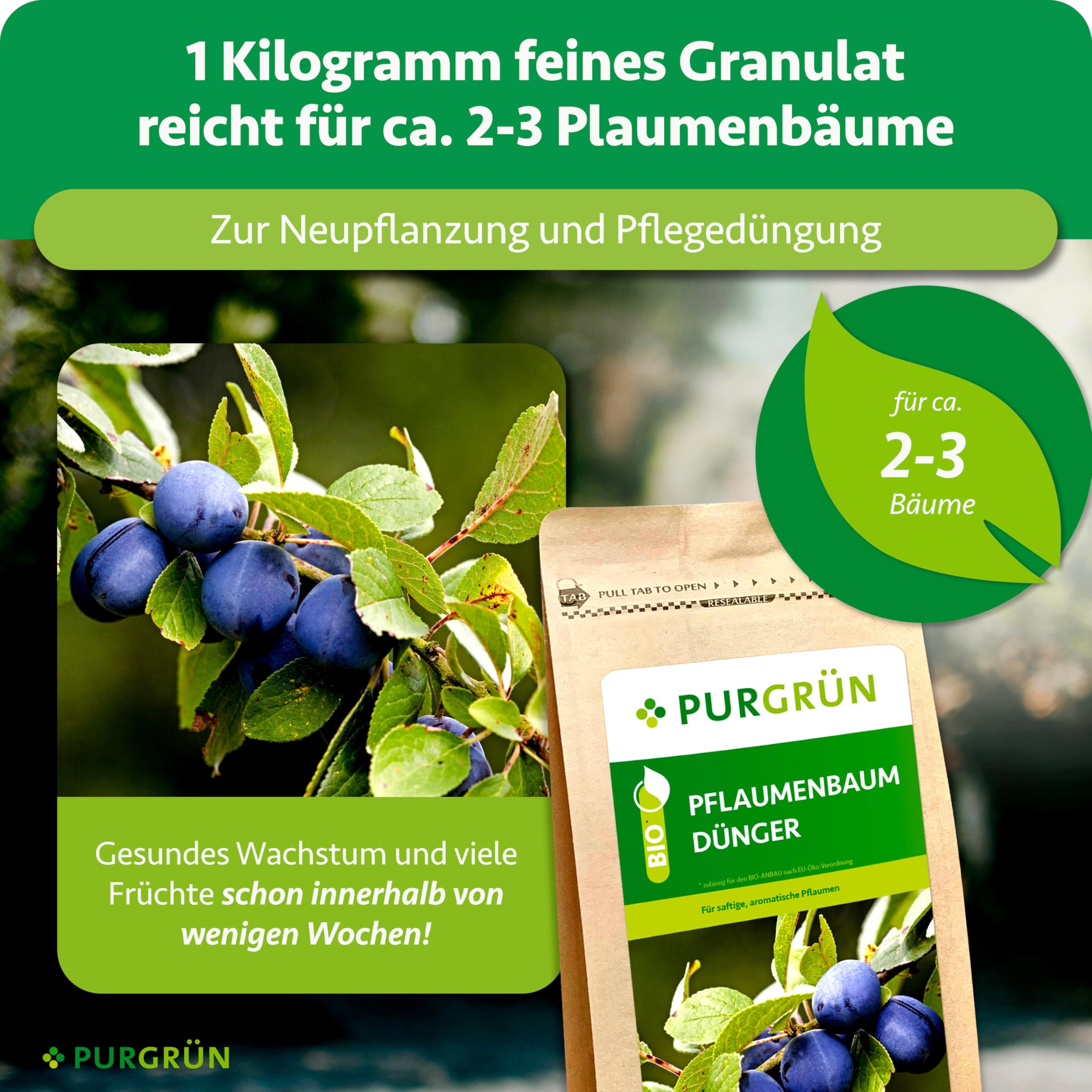 Bio-Pflaumenbaum-Dünger 1 kg – Organisch-mineralische Rezeptur – Feinkörniges Krümelgranulat – NPK 6+3+8 – Mit Magnesium für saftige, aromatische Pflaumen – Verbessert die Bodenqualität