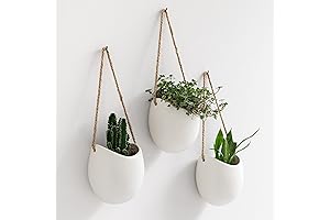 Ellie: Wall Hanging Ceramic Plant Pots for Indoor Beauty