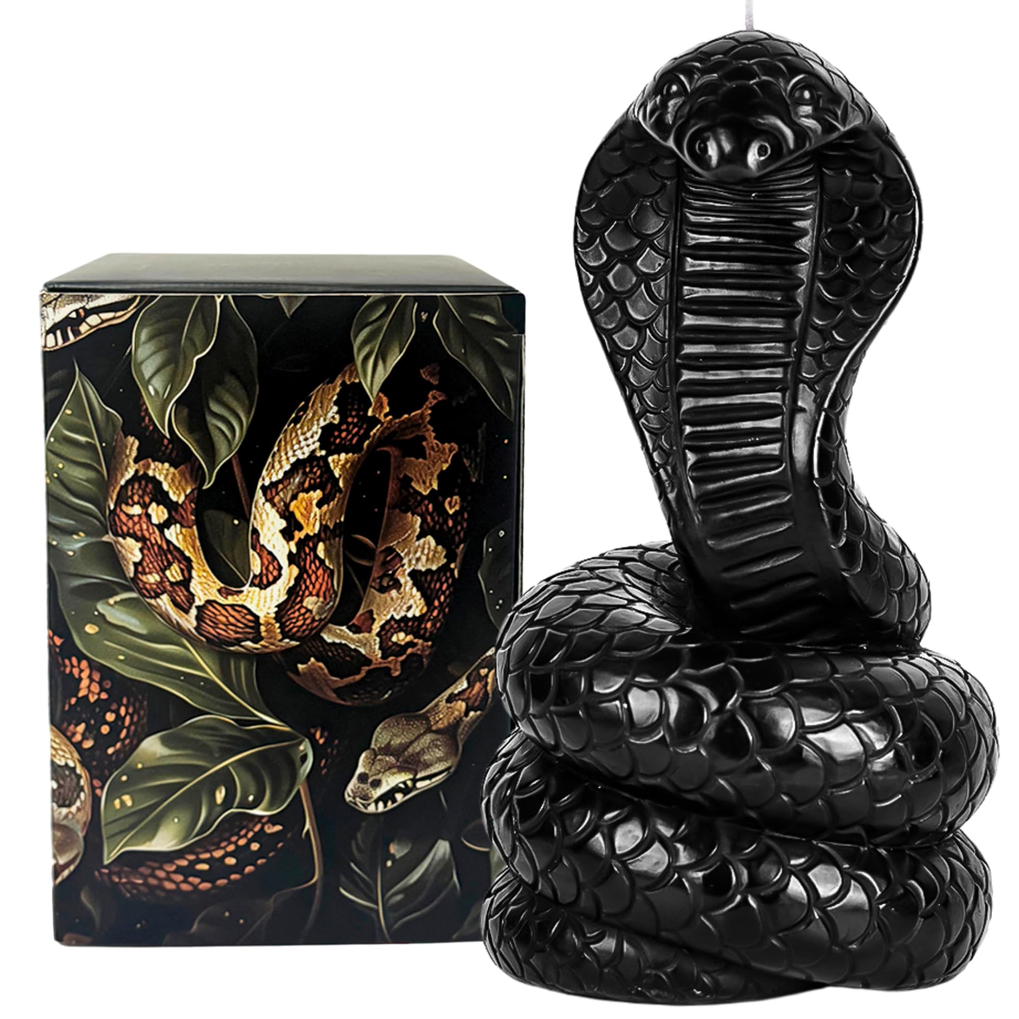な*様 GIBOUS × DEPENDOLL CROWN SNAKE ROOM Amazon.com: LIDY Black Snake Candle 7in, 30hr, Gift Box - Snake