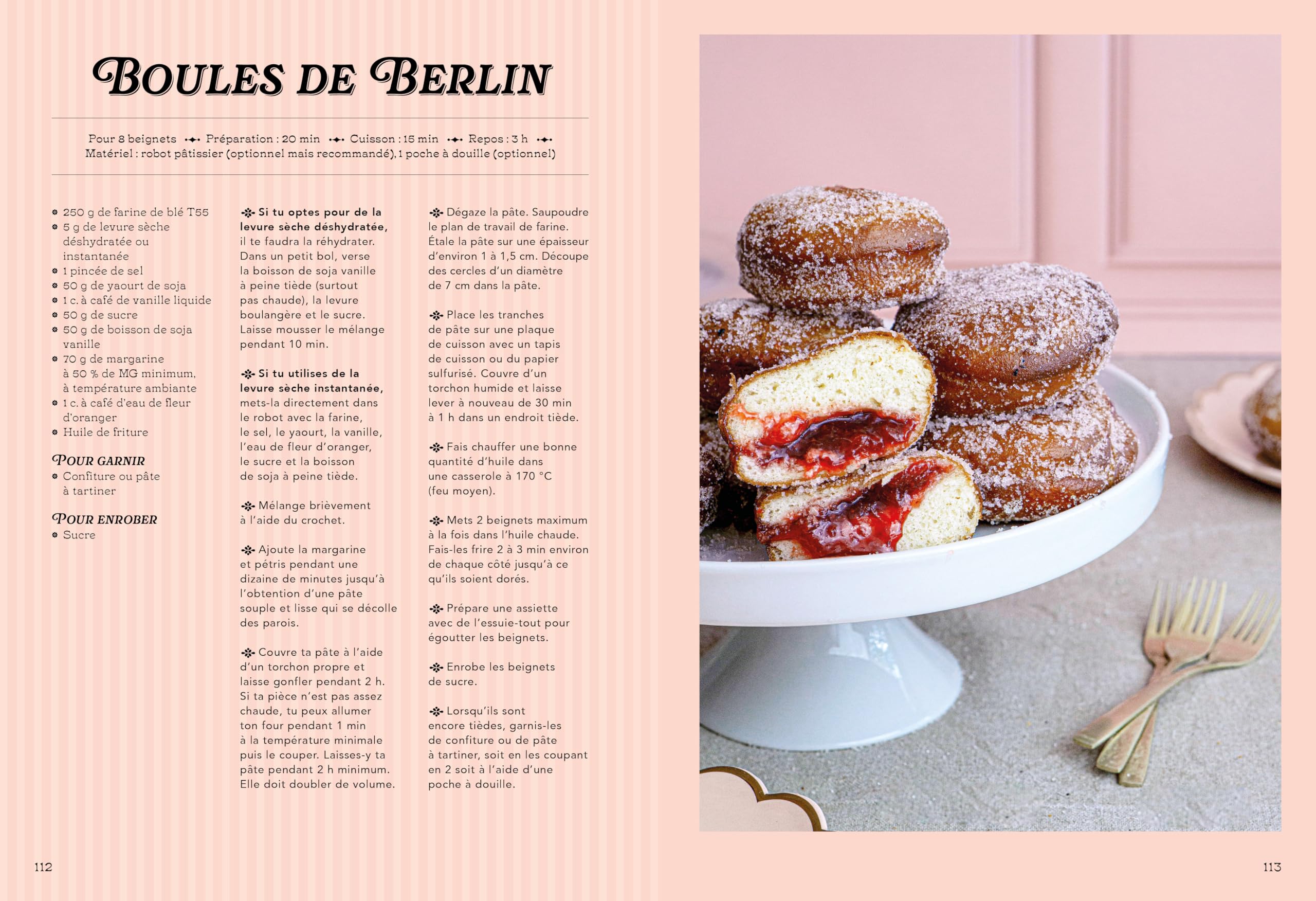 Le Grand Livre des Gâteaux de Famille: Recettes sans oeufs ni produits laitiers
