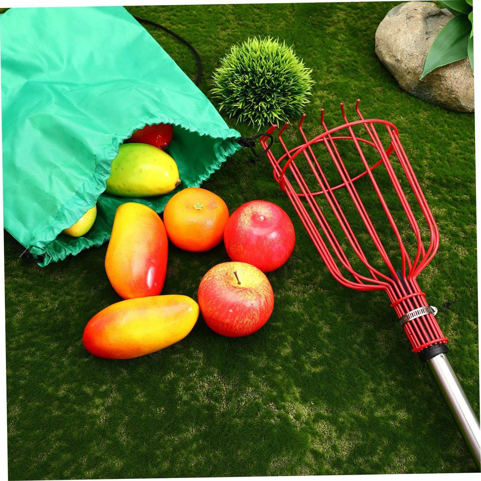 Raccoglifrutta Telescopico in Acciaio Inox 1,2 M Cestello Imbottito e Testa ad Artiglio, Strumento Leggero per Raccolta di Arance, Limoni e Pere da Alberi Alti, Utensile Versatile