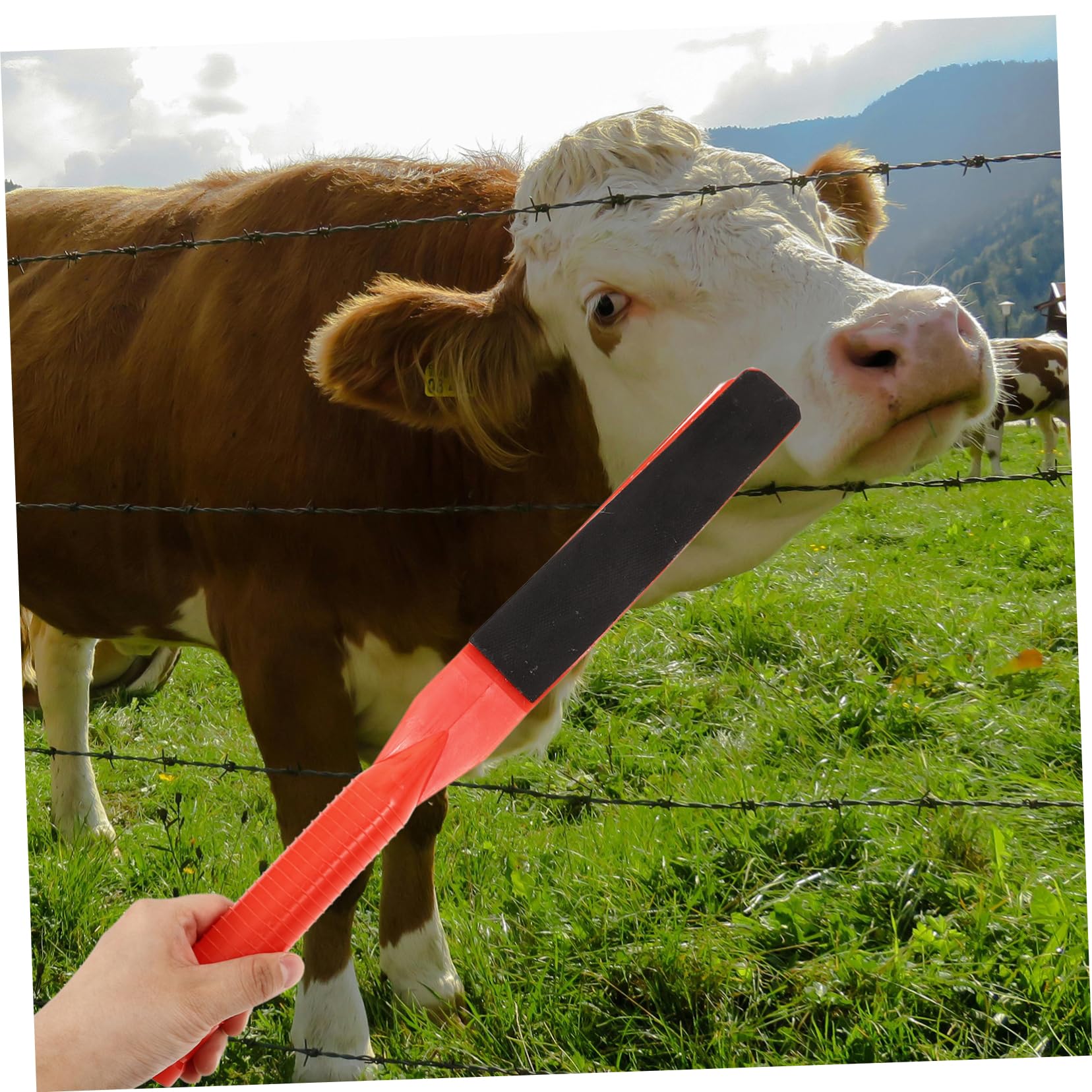 UPKOCH 3 Pezzi Paddle per Bestiame Maneggevole Strumento per Animali Spazi Ristetti Resistente All Usura e Facile da per e Stalle
