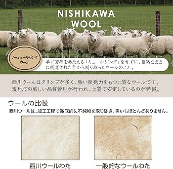 西川クラシノ 敷布団 シングル 固わた抗菌ウール 日本製 AD02202021 Amazon｜nishikawa【西川】 クラシノ 敷布団 シングル 畳み