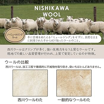 Amazon｜nishikawa【西川】 クラシノ 敷布団 シングル 畳み