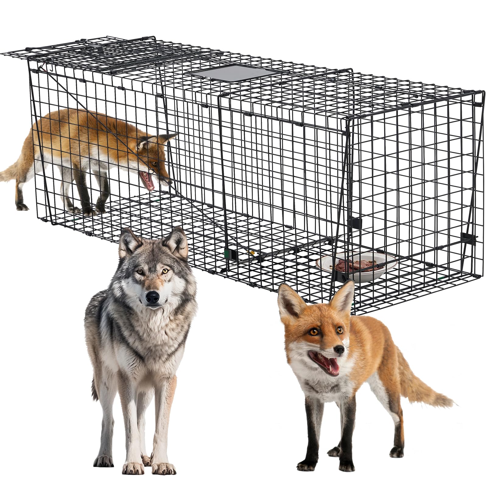 Heavy Duty Coyote Trap 59 Inch,Humane Live Animals Trap for Dogs, Coyotes, Bobcats, Foxes and Other Similar Size Animails.Extra Large and More Sturdy Cage