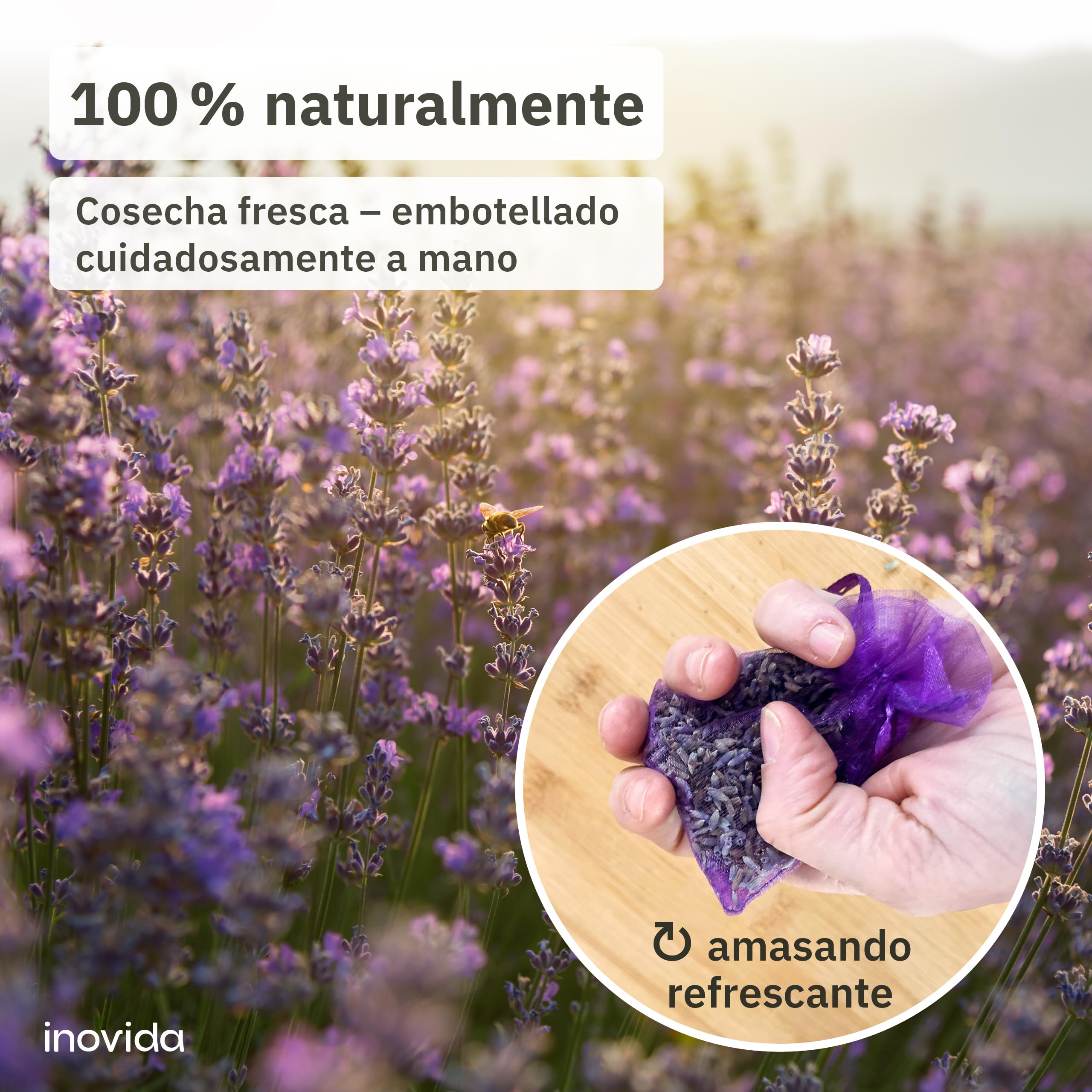 Ambientador de Armario Lavanda – Bolsitas Lavanda para Ropa y Cajones – Antipolillas Polillas – 20x Lavanda Seca Natural – Inovida
