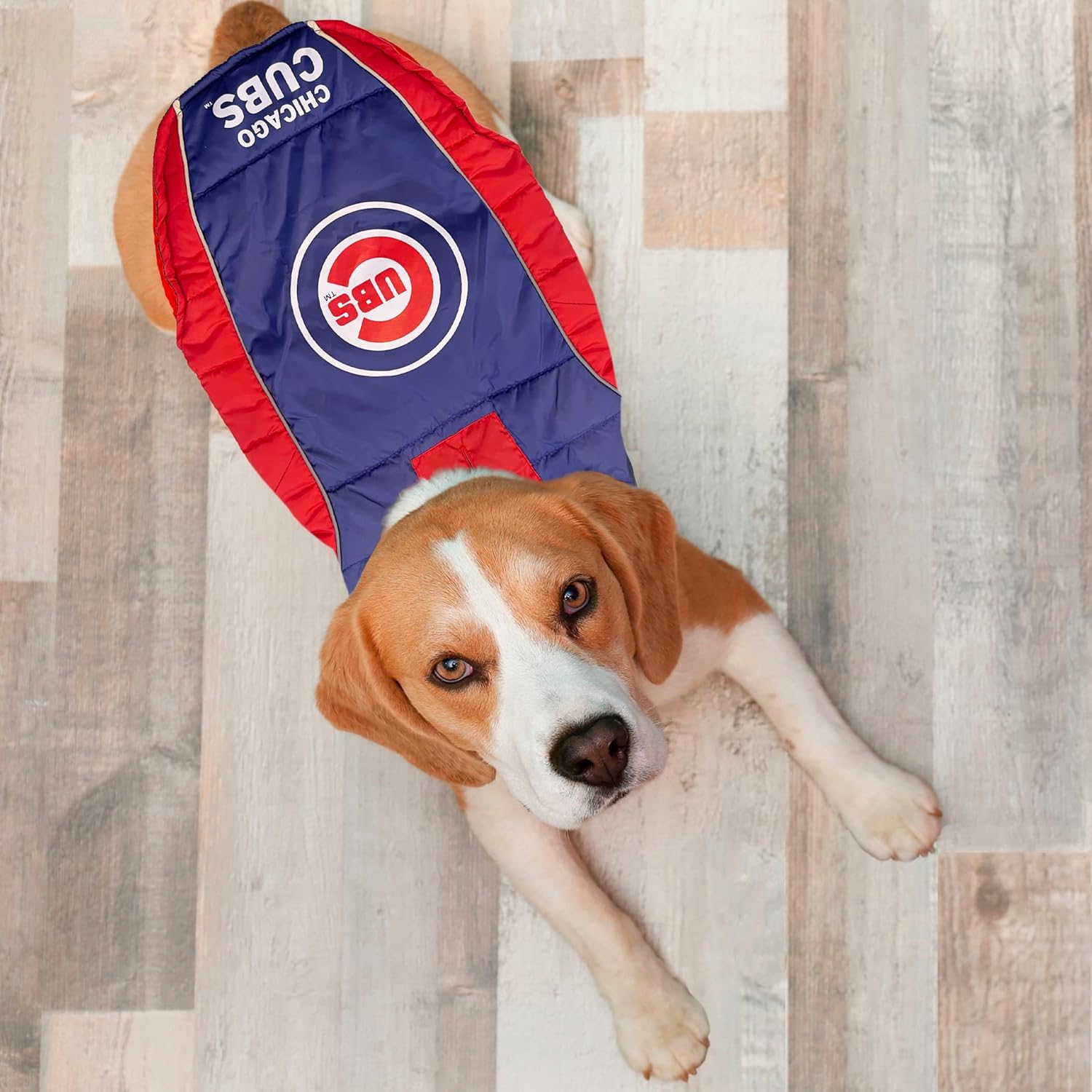 MLB Chicago Cubs Puffer Vest for Dogs & Cats, Size Large. Warm, Cozy, and Waterproof Dog Coat, for Small and Large Dogs/Cats. Best MLB Licensed PET Warming Sports Jacket
