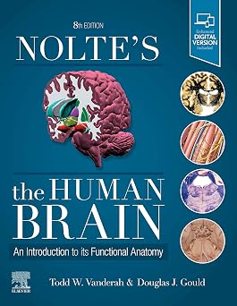 Noltes The Human Brain An Introduction to its Functional Anatomy