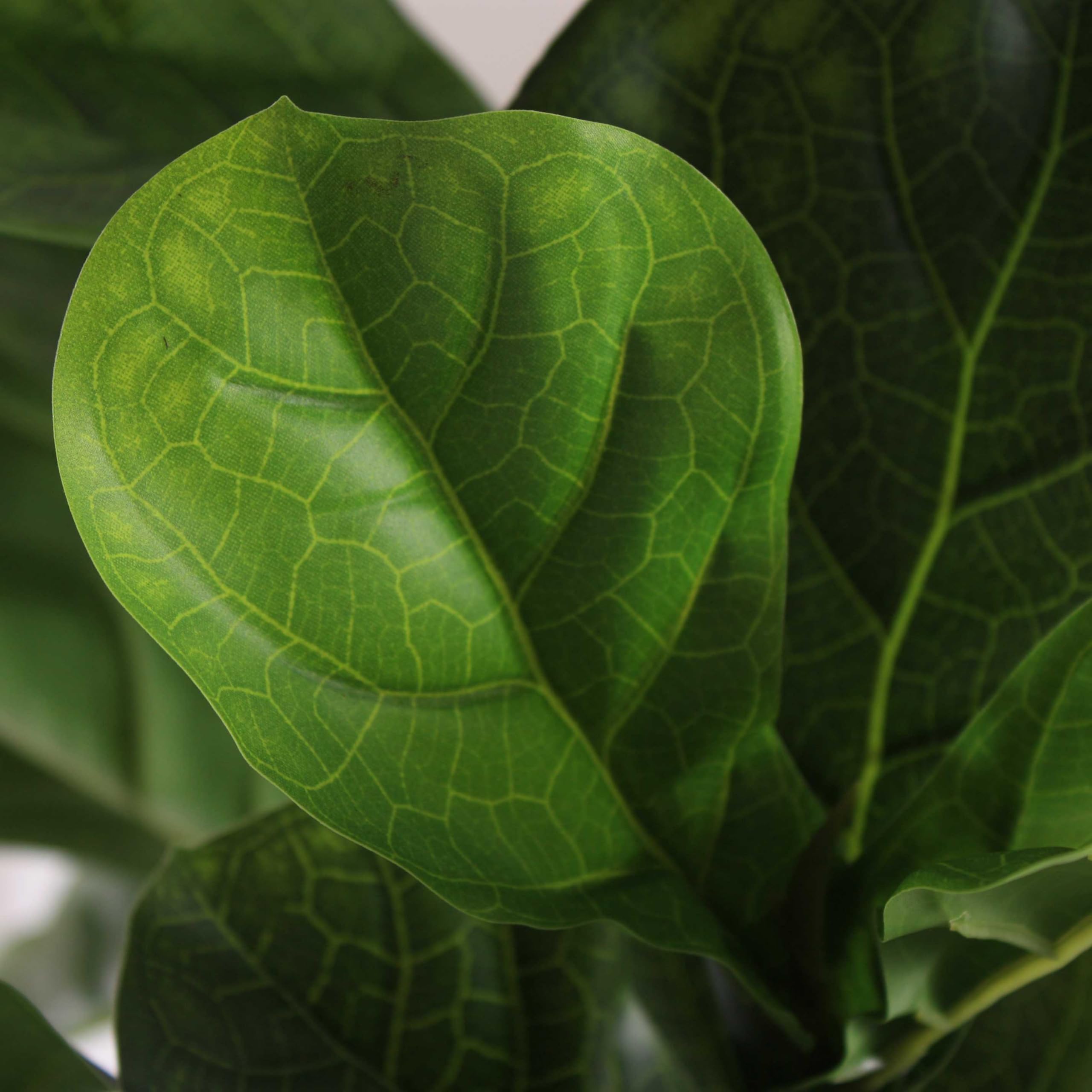 Pianta Artificiale Ficus Lyrata Alta 125 cm, Pianta Decorativa in PE Realistica per Soggiorno Ingresso Sala da Pranzo, Accessorio Verde Senza Cura