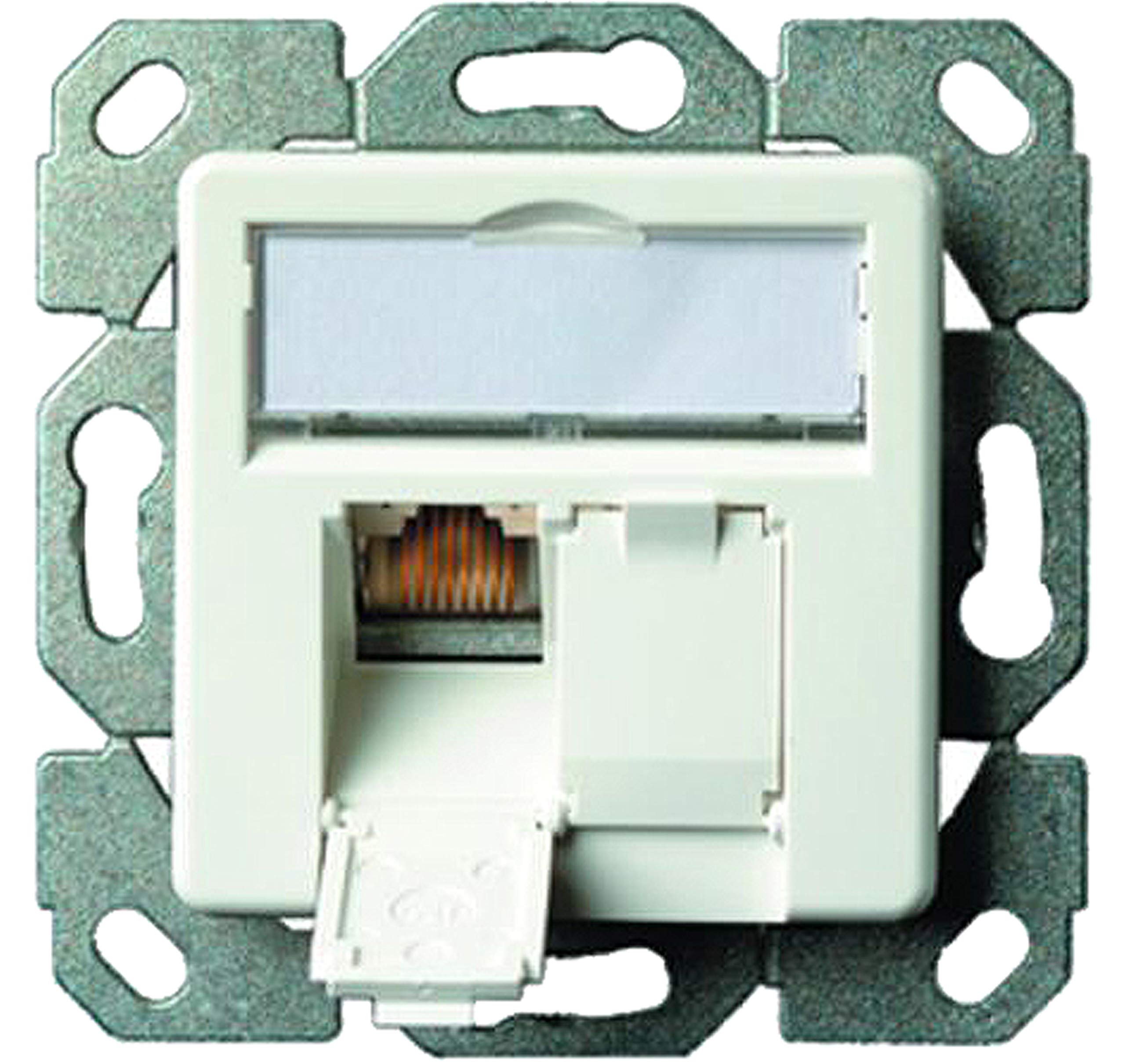 Telegärtner Datenanschlussdose Cat6A 2-Fach 2xRJ45 J00020A0500 AMJ45 8/8 UP/50 alpinweiß 5 V, Weiß (10, RJ45)